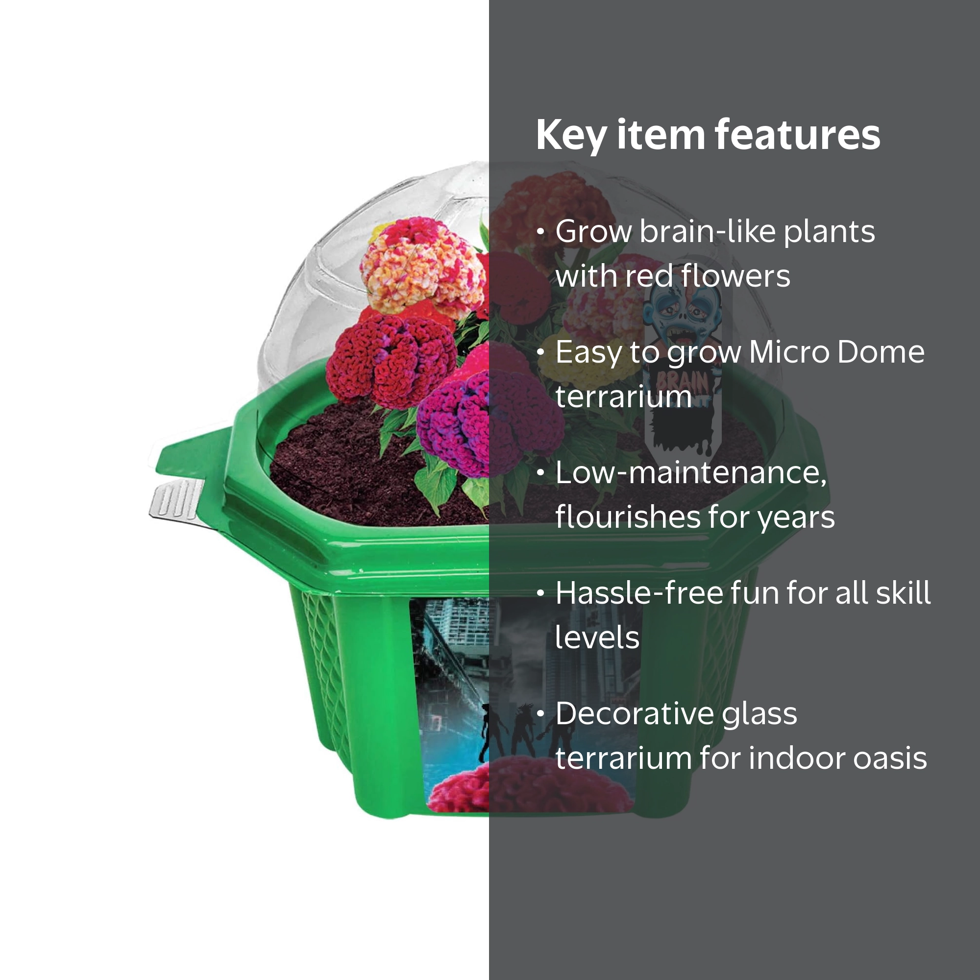 Grow Your Own Zombie Brains - Complete Kids Terrarium Kit to Grow