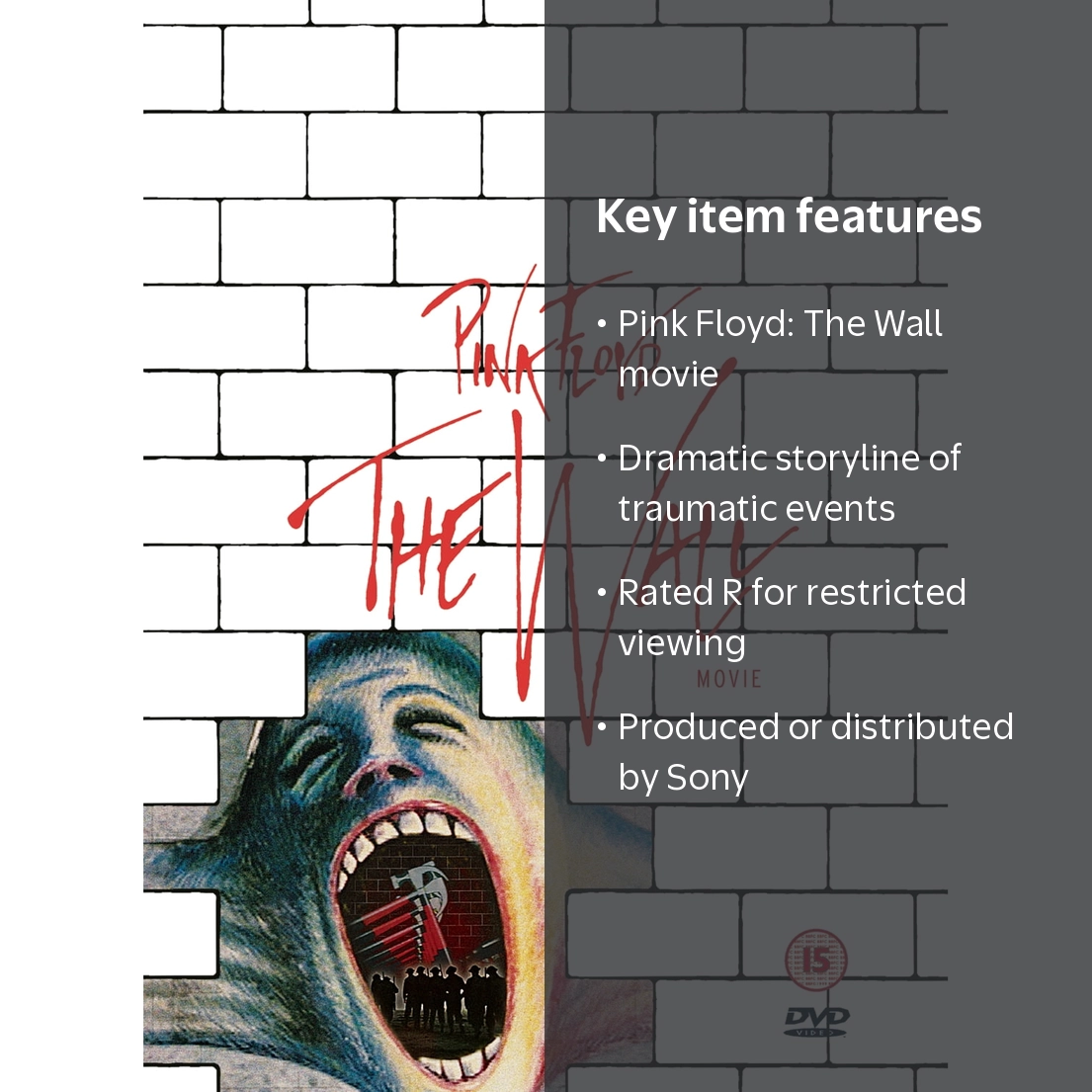 Pink Floyd the Wall - Rock Movie (DVD), Sony, Music & Performance