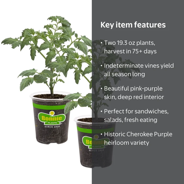 Bonnie Plants Cherokee Purple Tomato 19.3 oz. 2-pack - Walmart.com