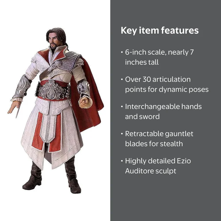 Assassins Creed Brotherhood 6