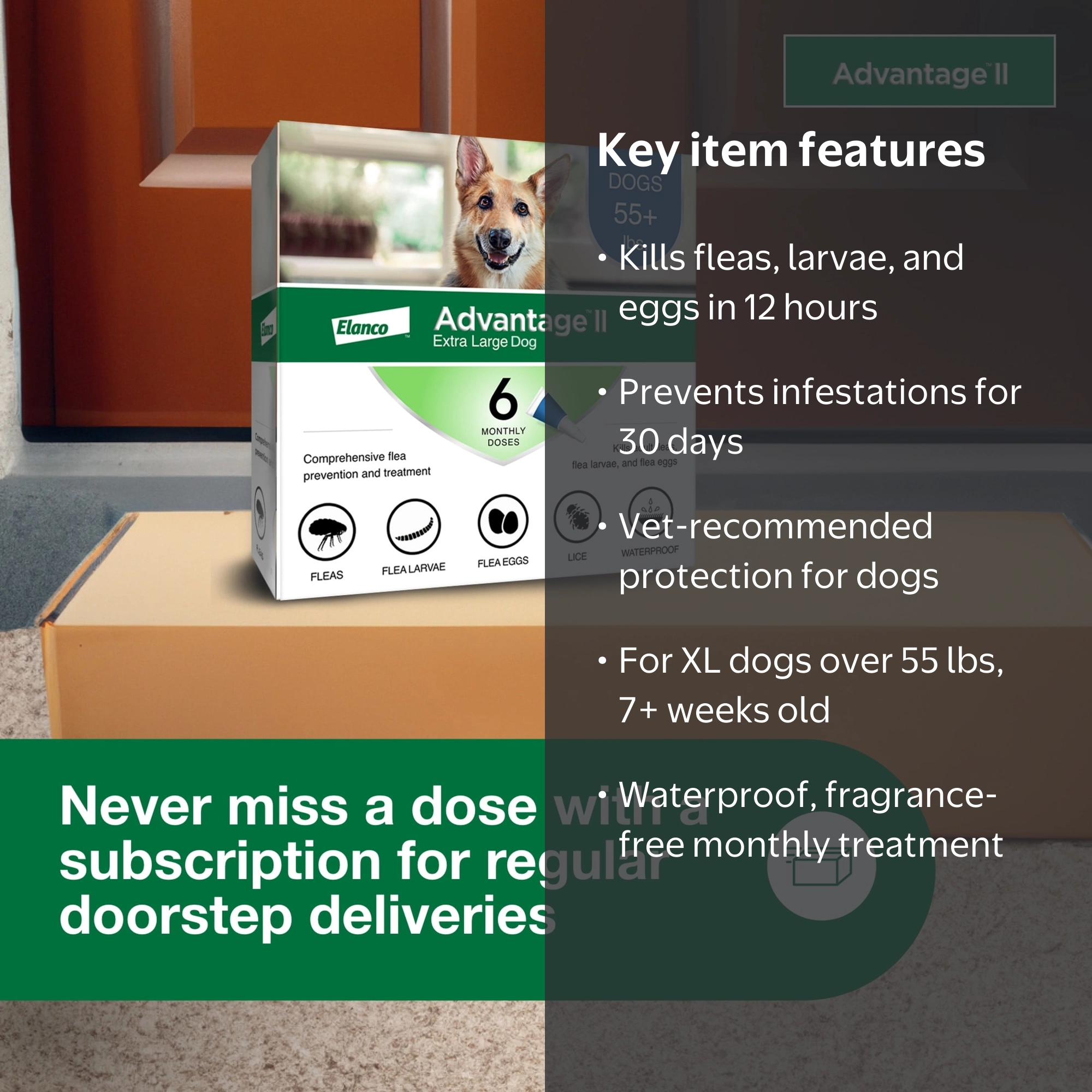 Advantage II Flea Prevention for XL Dogs 55 lbs+, 6-Month