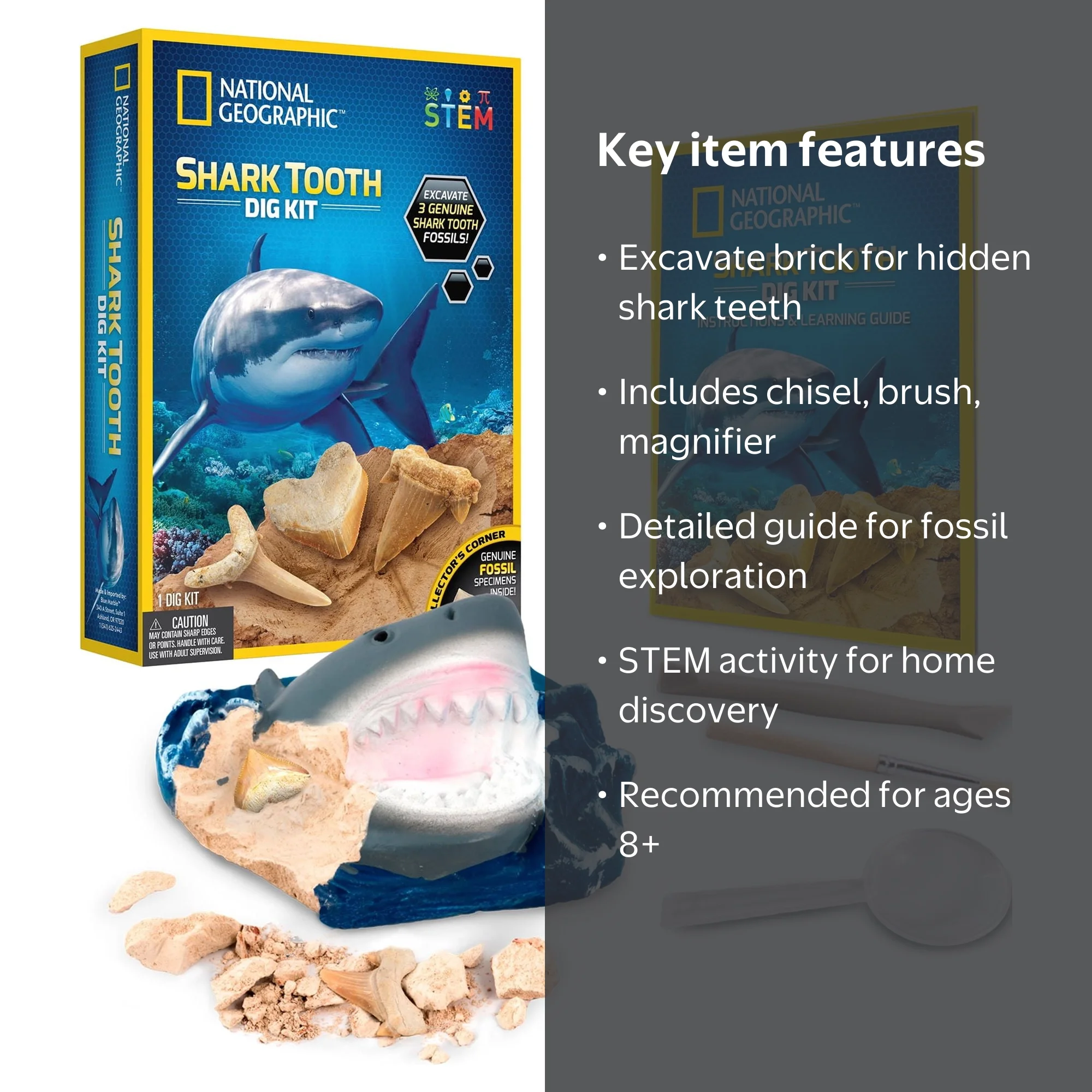 National Geographic Kids Shark Tooth Fossil Dig Kit with Tools