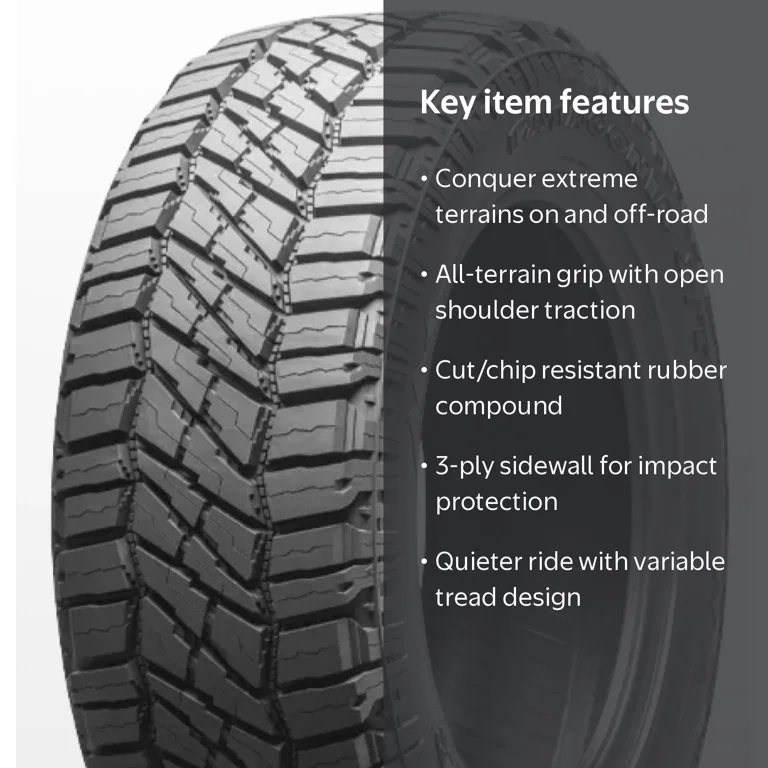 ロストラータ Milestar Patagonia X/T Rugged Terrain Tire, 275/60R20 116T XL