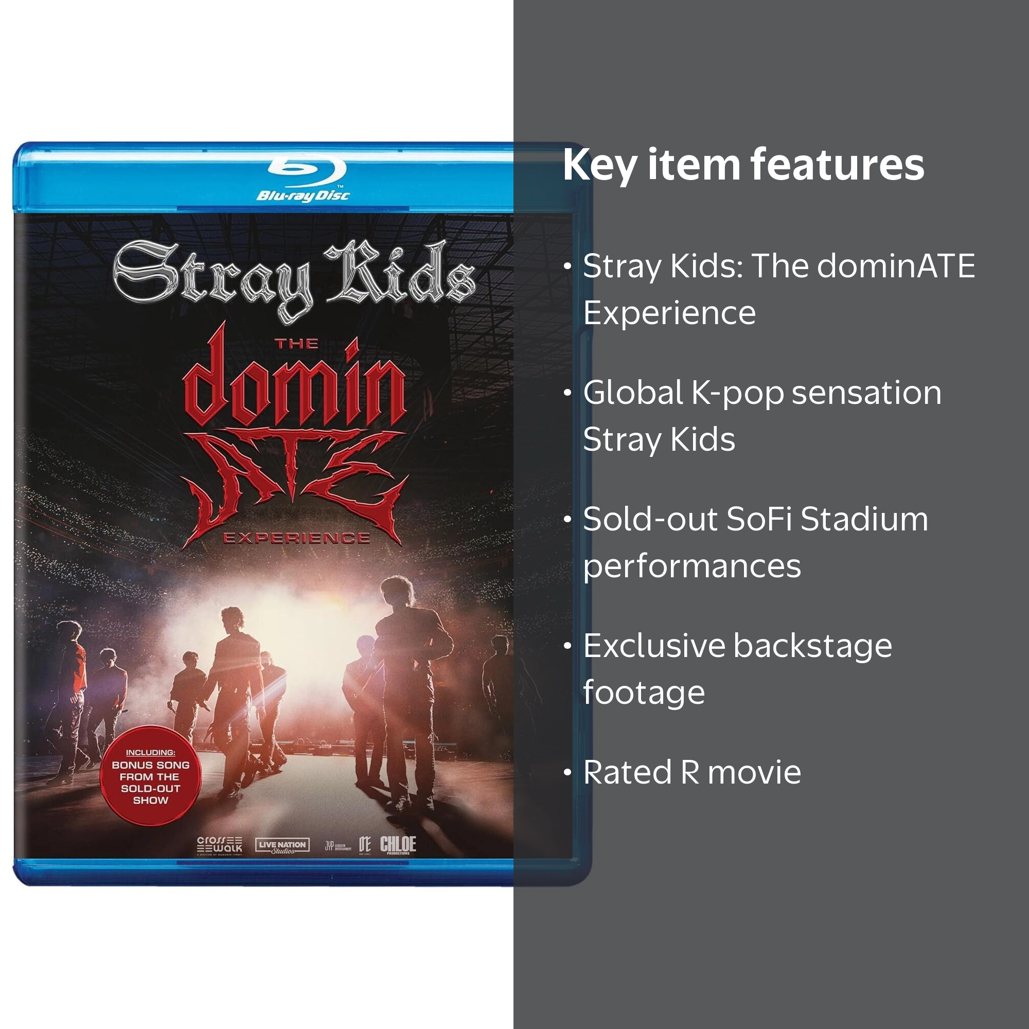 Stray Kids: The dominATE Experience - Walmart.com
