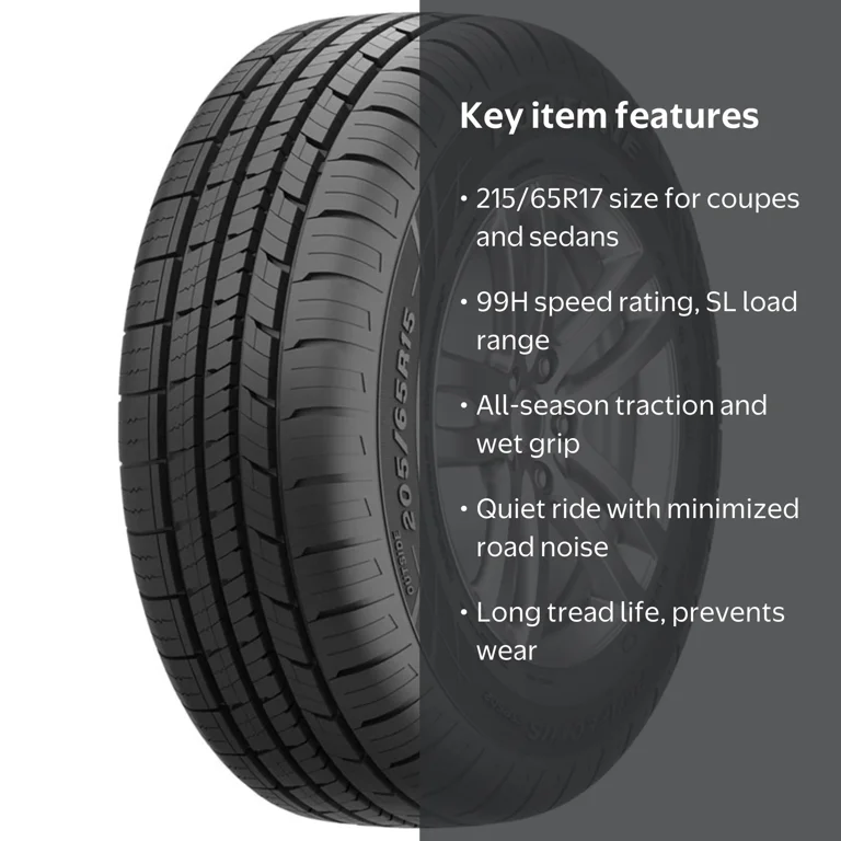 Fortune, Passenger Tire, 215/65R17 99H, All Season Touring