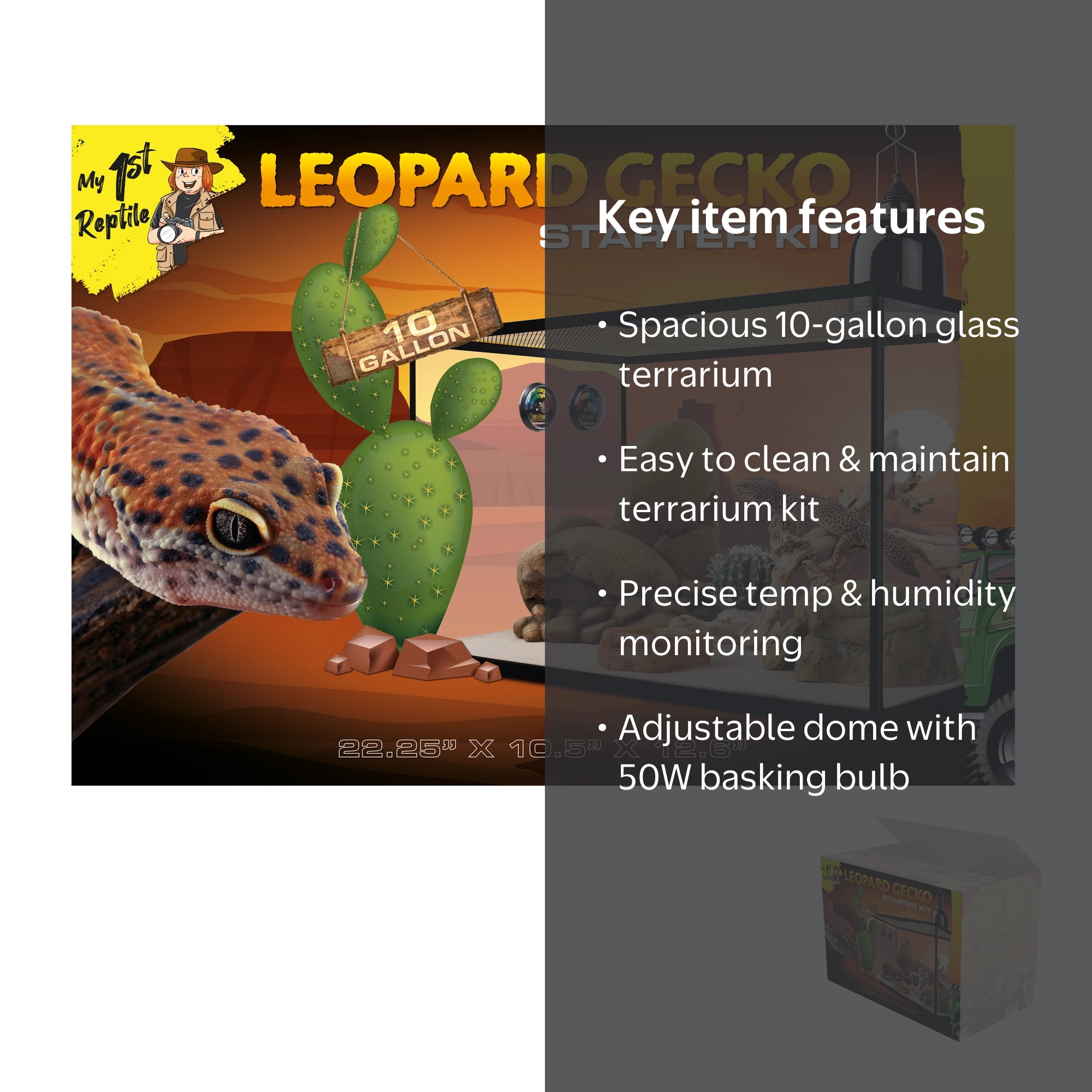My 1st Reptile Leopard Gecko Starter Kit, 10 Gallon Terrarium