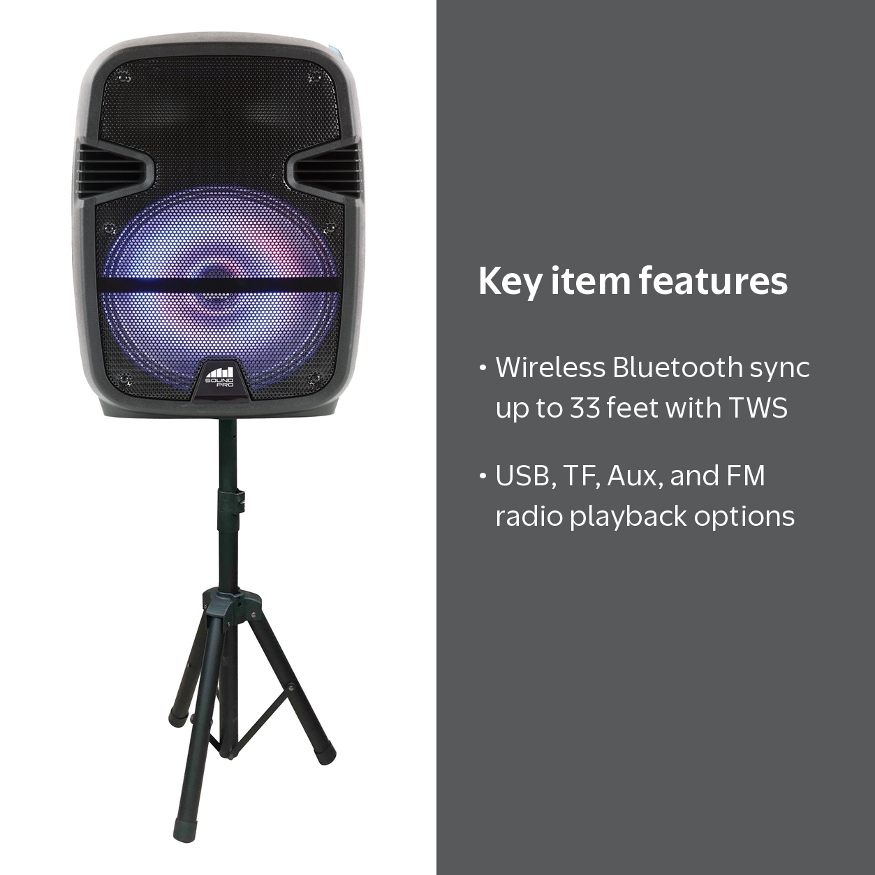 Naxa Electronics Dual 12