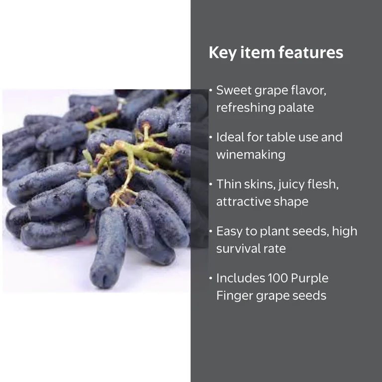 PeavyTailor, Purple Finger Grapes Seeds, 100 Pack, Sweet Juicy