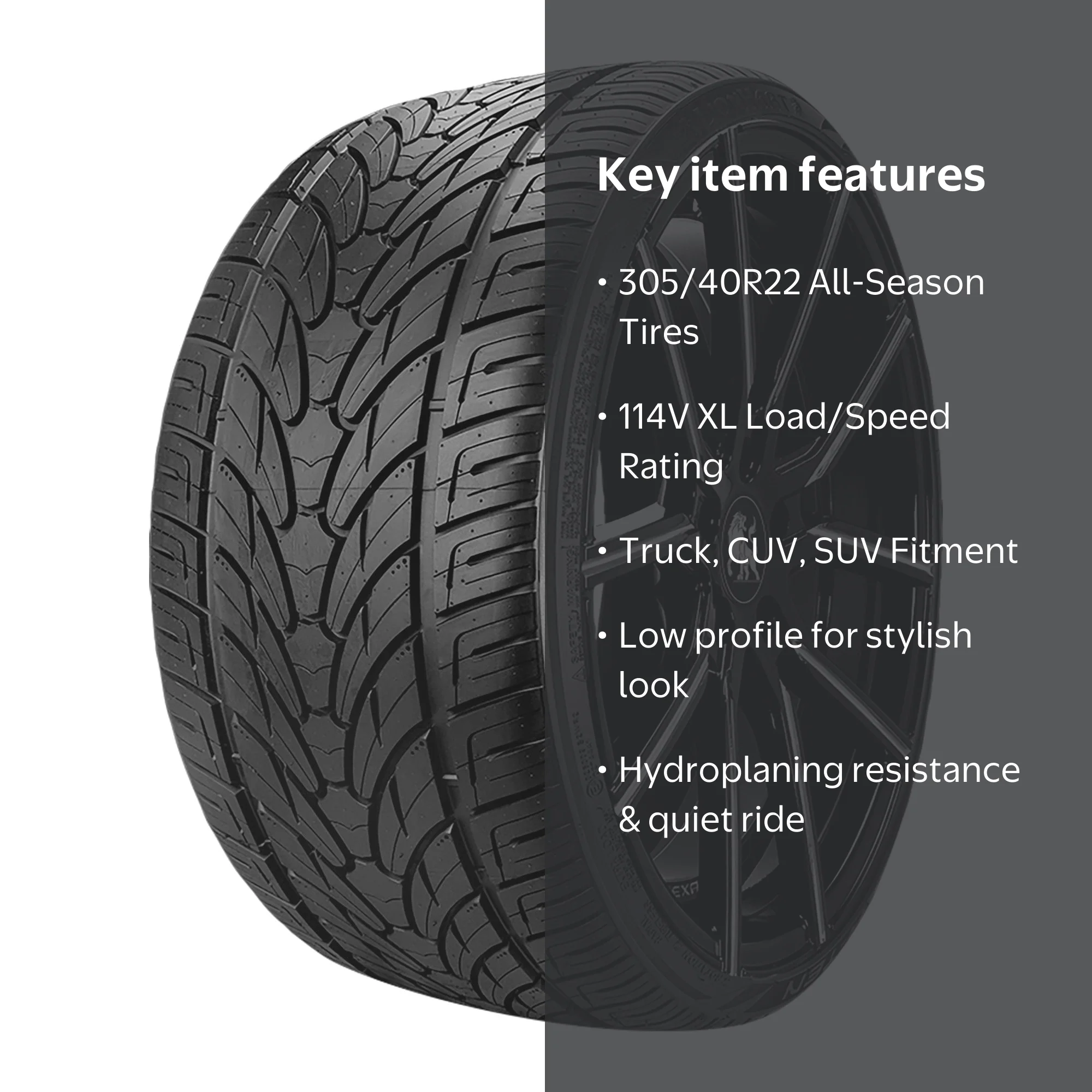 Lionhart LH-TEN High-Performance All-Season Passenger Tire, 305