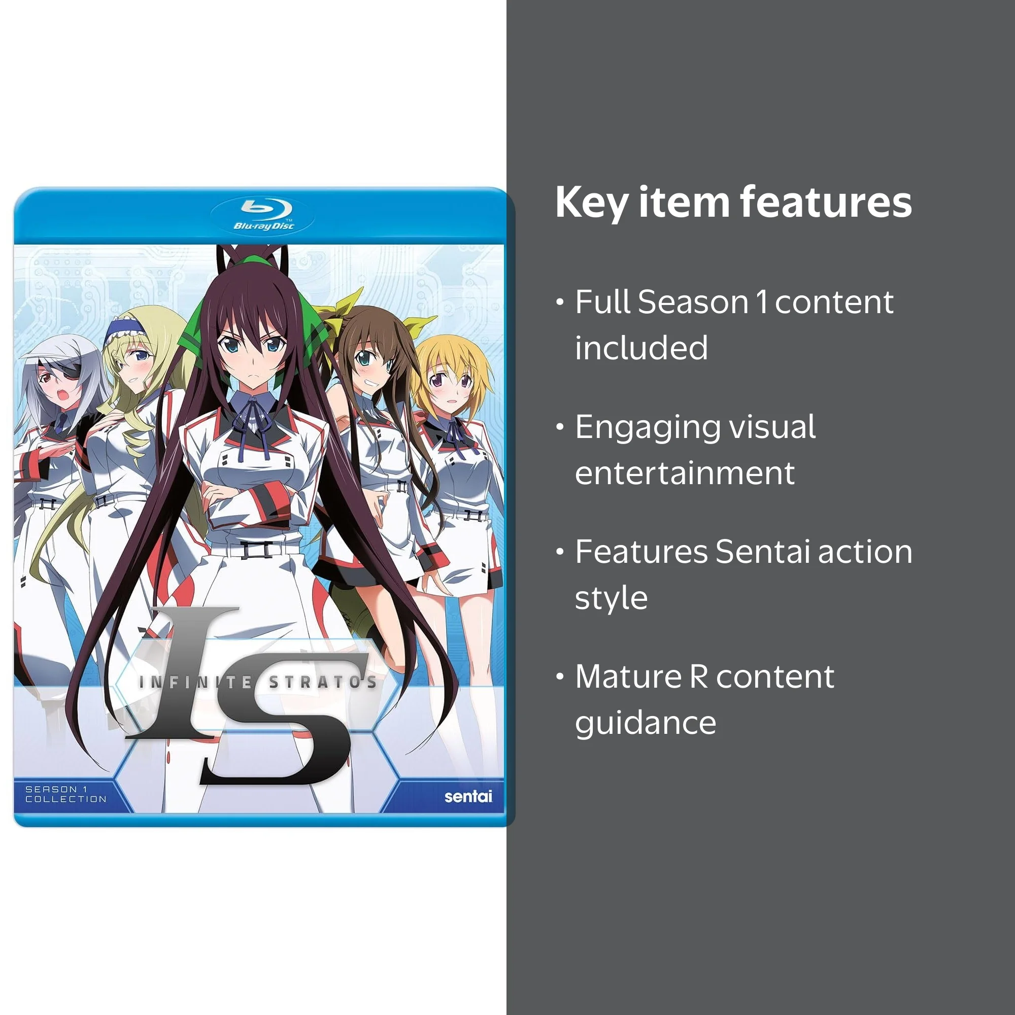 Infinite Stratos: Season 1 Collection - Walmart.com