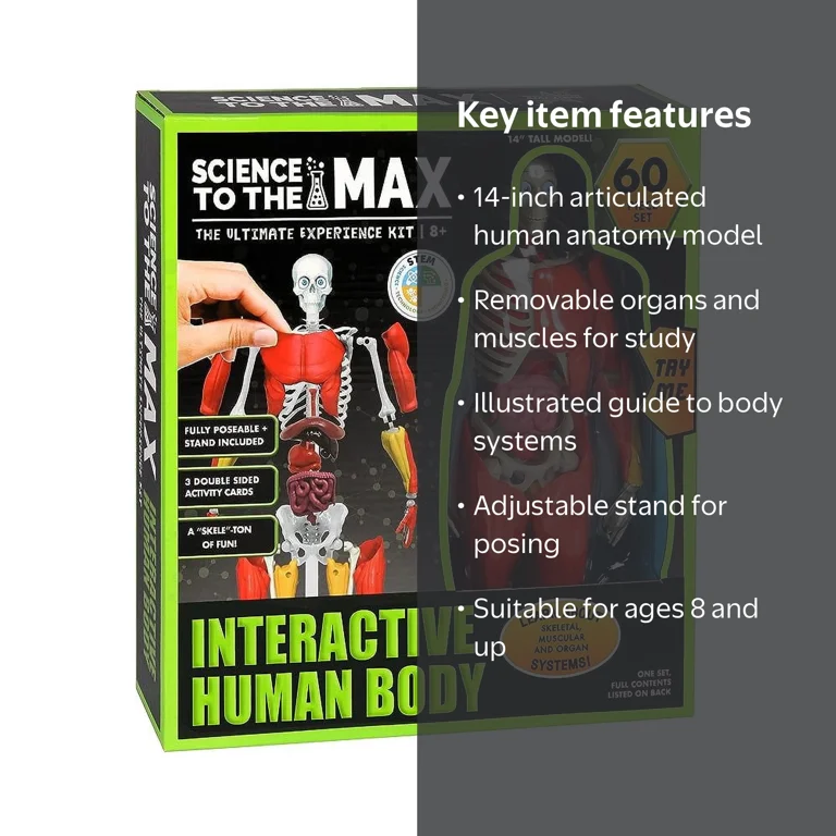 Science to the Max Interactive 14 Inch Human Body, Removable