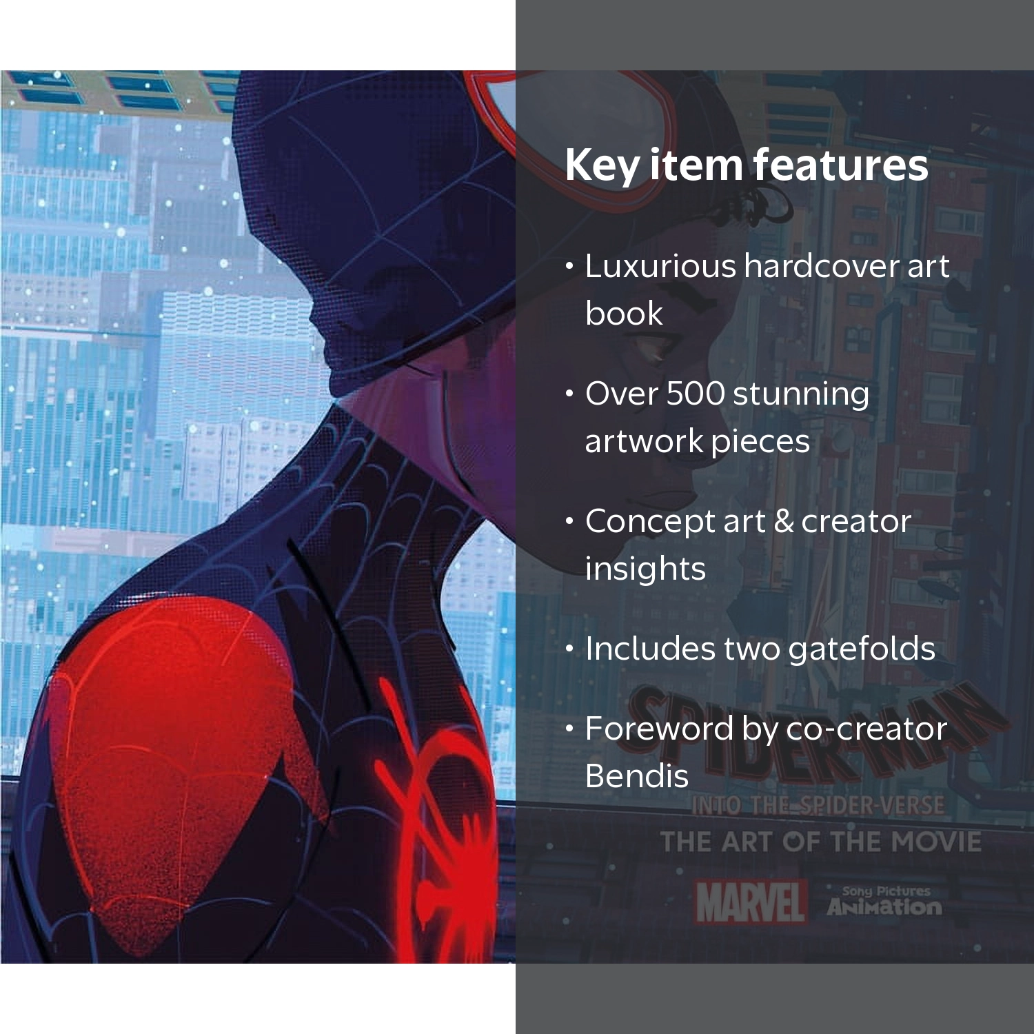 Ramin Zahed, Art Book, Spider-Man Into the Spider-Verse, 500+