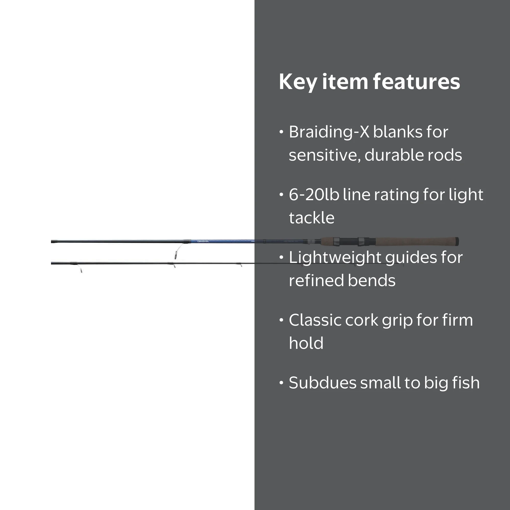 Daiwa Aird Coastal ACIN701MHXS Fishing Rod - Walmart.com