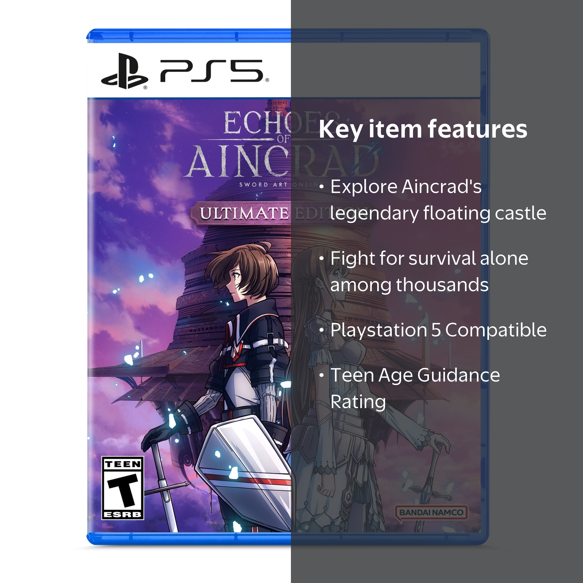 Sword Art Online: Echoes of Aincrad Ultimate Edition for