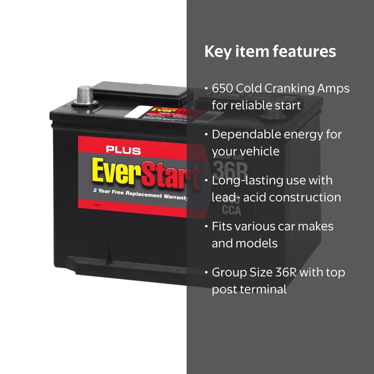 Free Shipping! Ever Start Automotive Battery Group 36R with 650