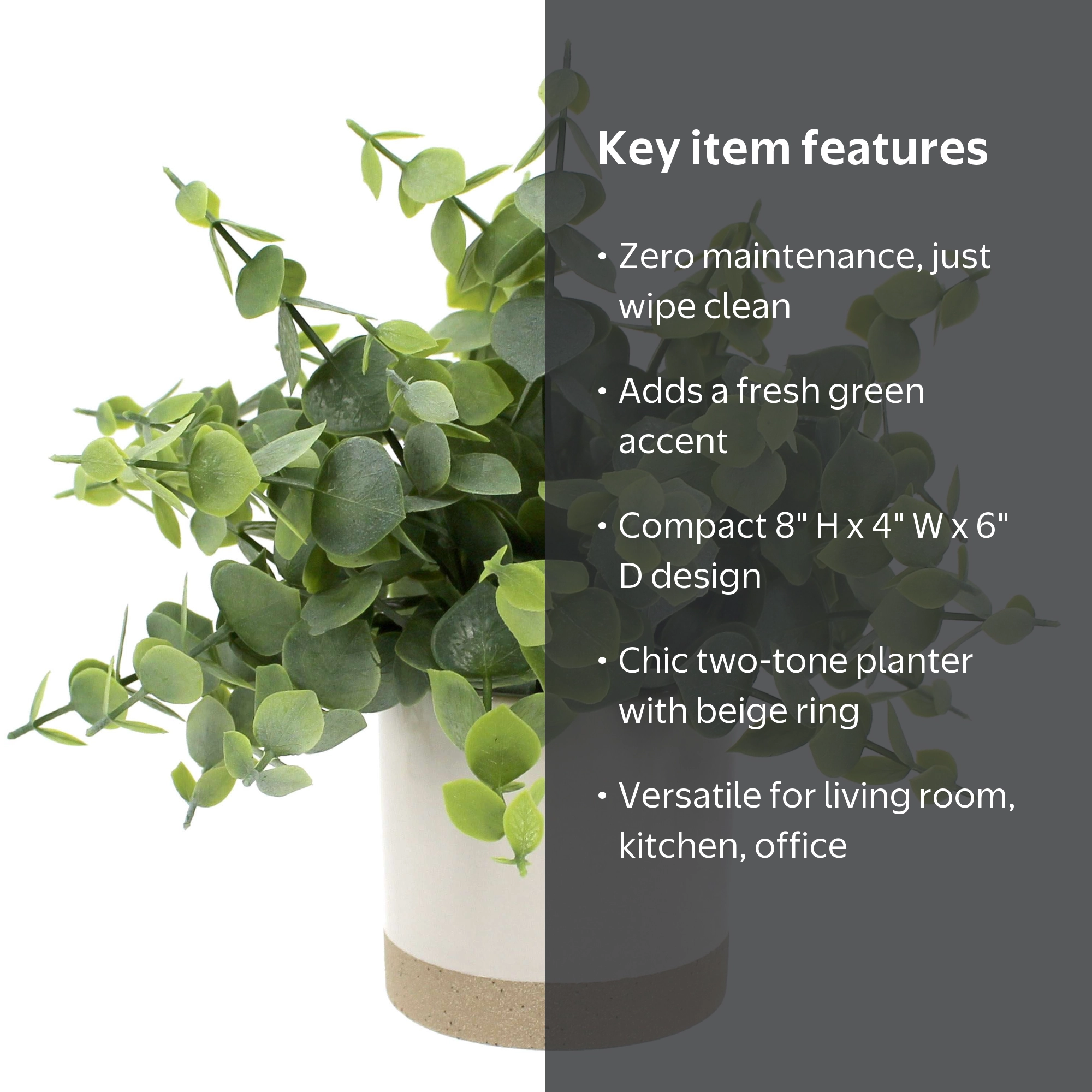 8SCM10 グラントイーワンズ　ホルミシス テラミーシーツ グリーン Mainstays 8 in Artificial Green Eucalyptus Plant in Two-Tone