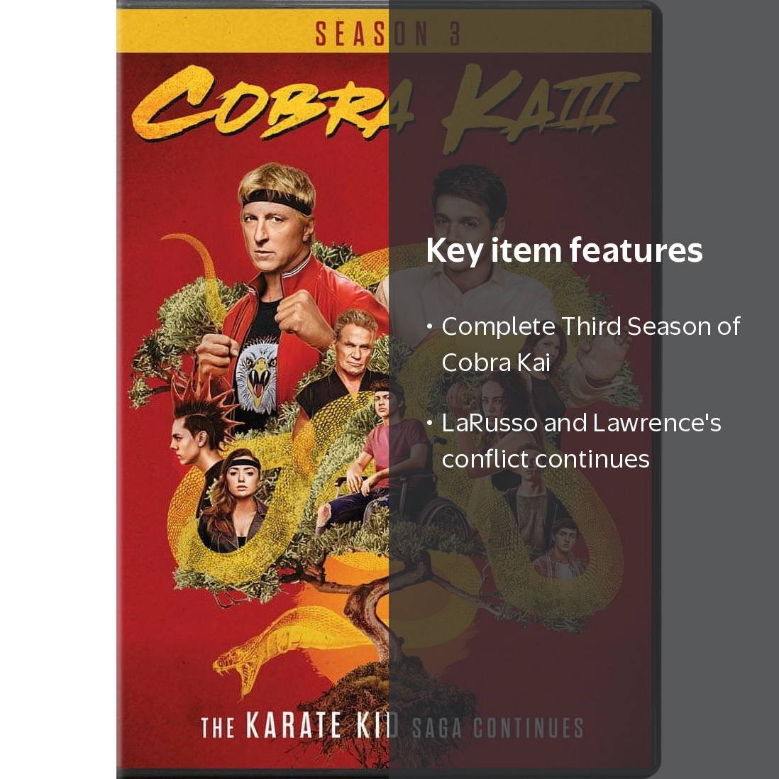 Sony, Cobra Kai The Complete Third Season DVD, Action TV Series