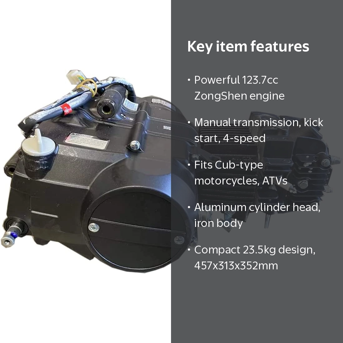 X-PRO 125cc ZongShen 4-Stroke Pit Dirt Bike Engine with Manual