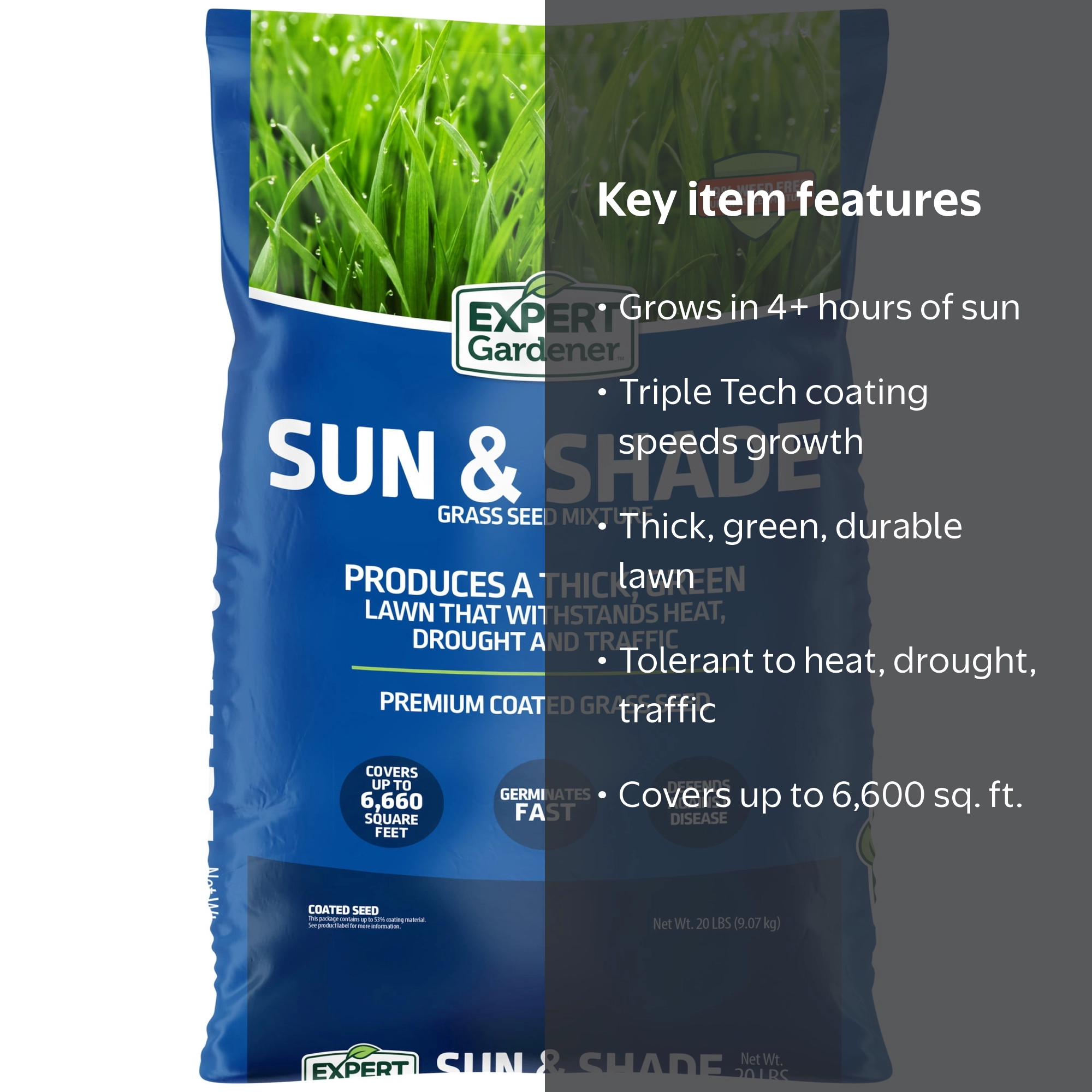 Free Shipping! Expert Gardener Sun and Shade Northern Grass Seed