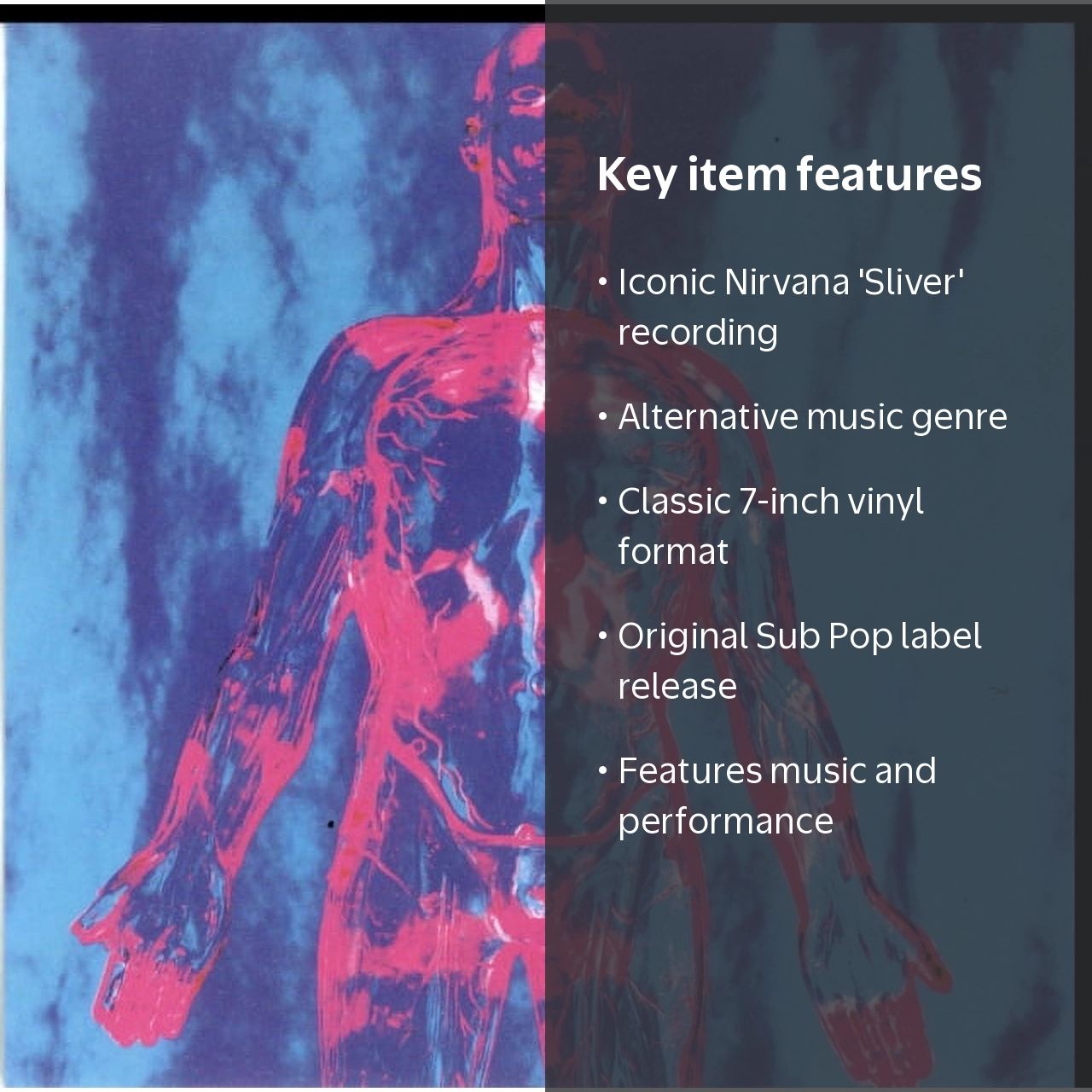 Nirvana - Sliver - Music & Performance - Vinyl [7-Inch] - Walmart.com