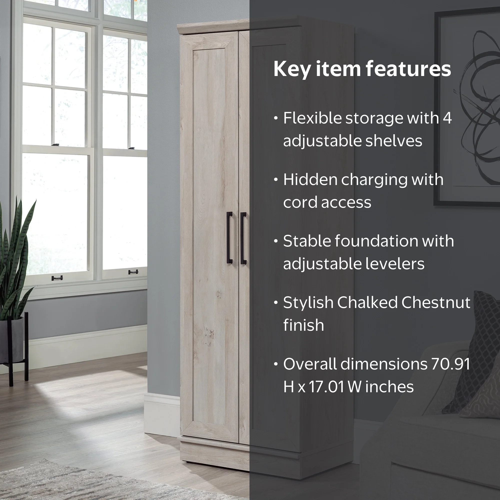 Sauder HomePlus 2-Door Storage Cabinet, Chalked Chestnut Finish