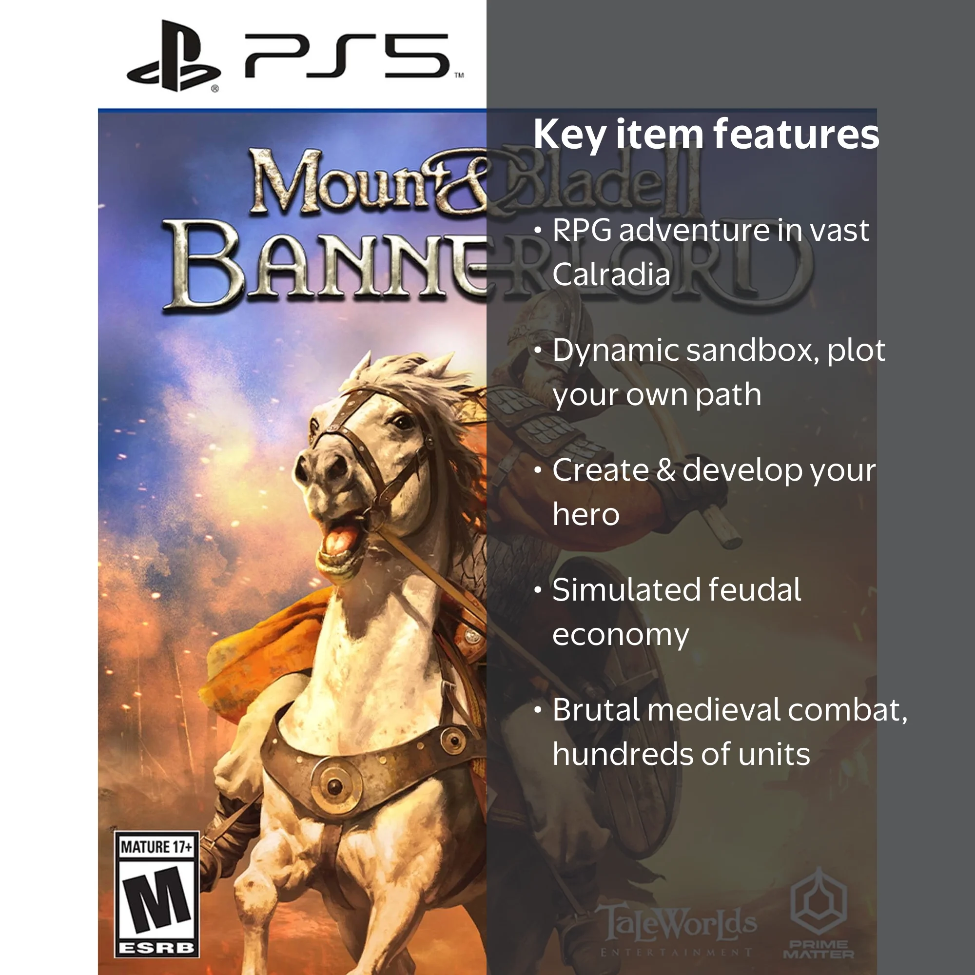 Mount & Blade II: Bannerlord - Medieval Combat Simulator & Role