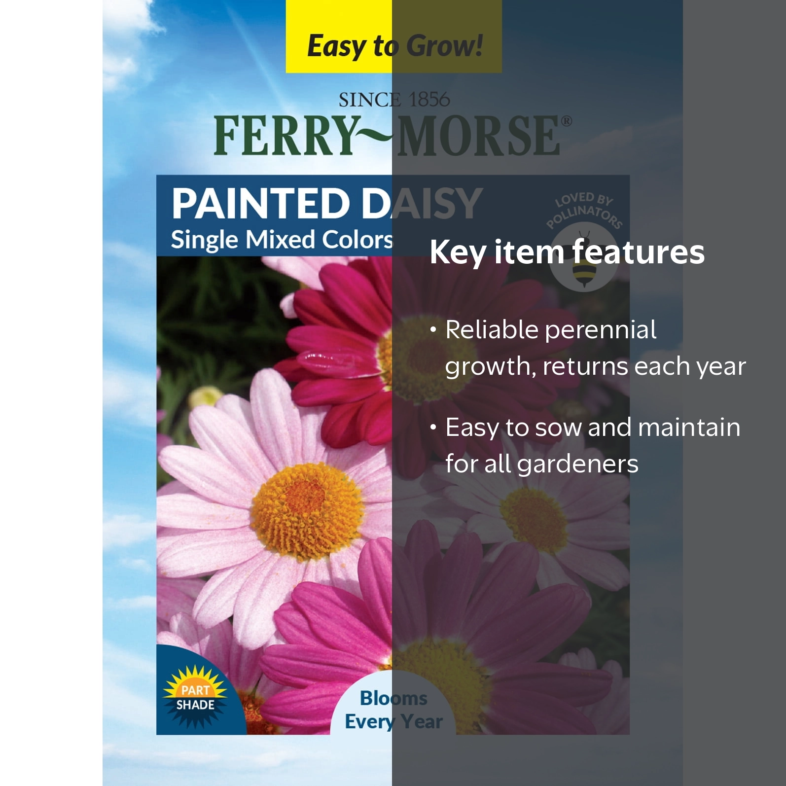 Ferry-Morse Painted Daisy Perennial Flower Seeds - Partial Shade