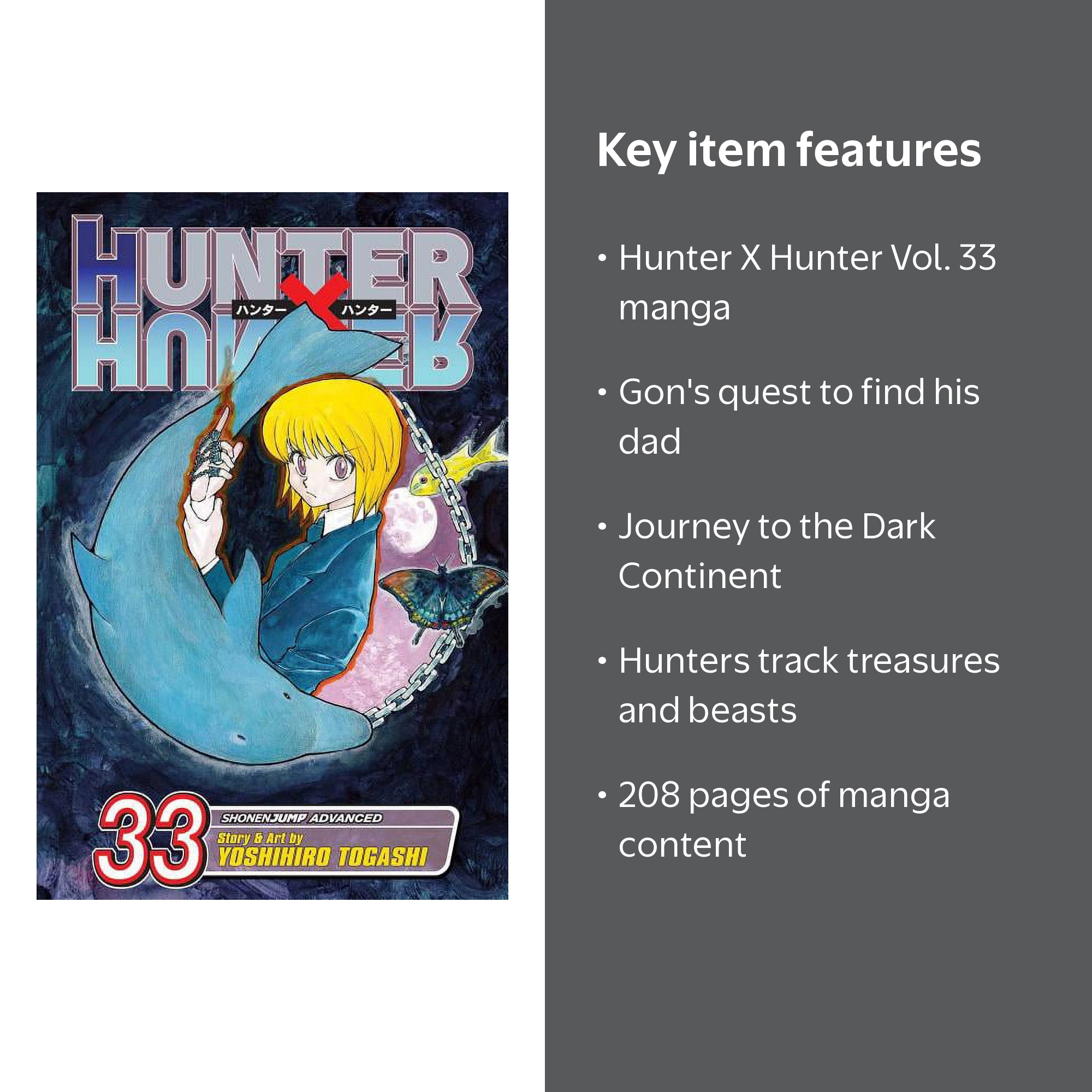 Yoshihiro Togashi, Hunter X Hunter Vol. 33 Threats, Book 33