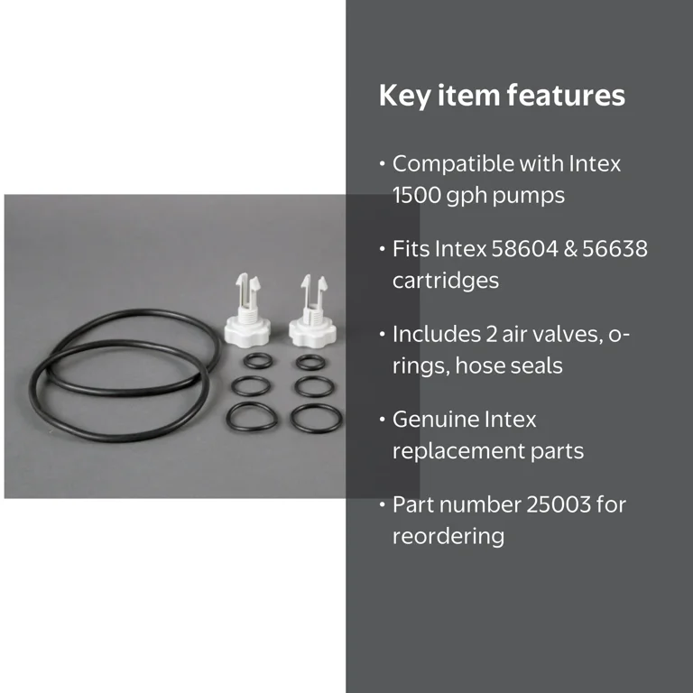 Intex 25003 Pool Assembly, 1500 gal and Below Filter Pump