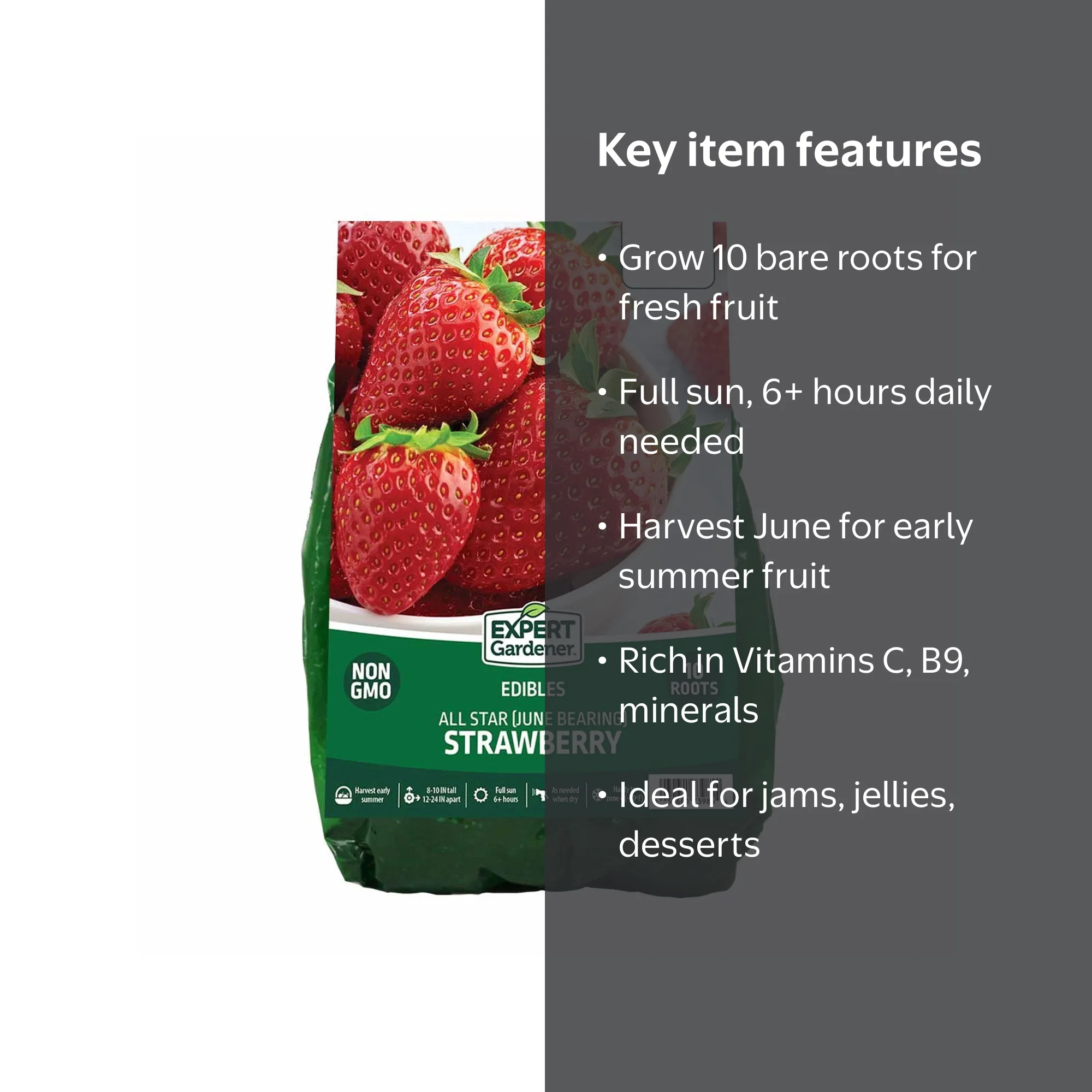 Expert Gardener Strawberry All Star Set of 10 Bare Roots for Full