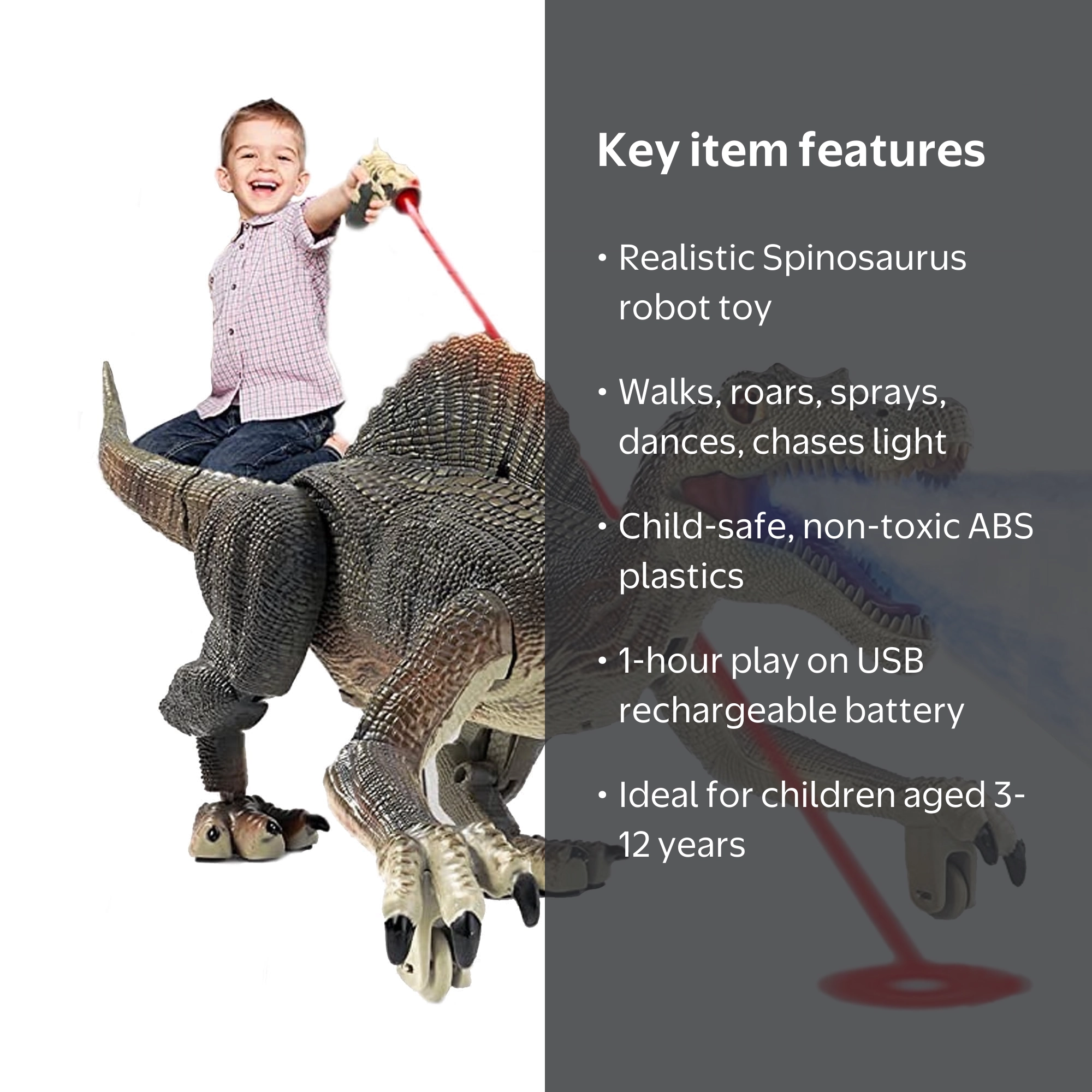 Richgv, Dinosaur Toy, Remote Control Walking Roaring Spray, Gray