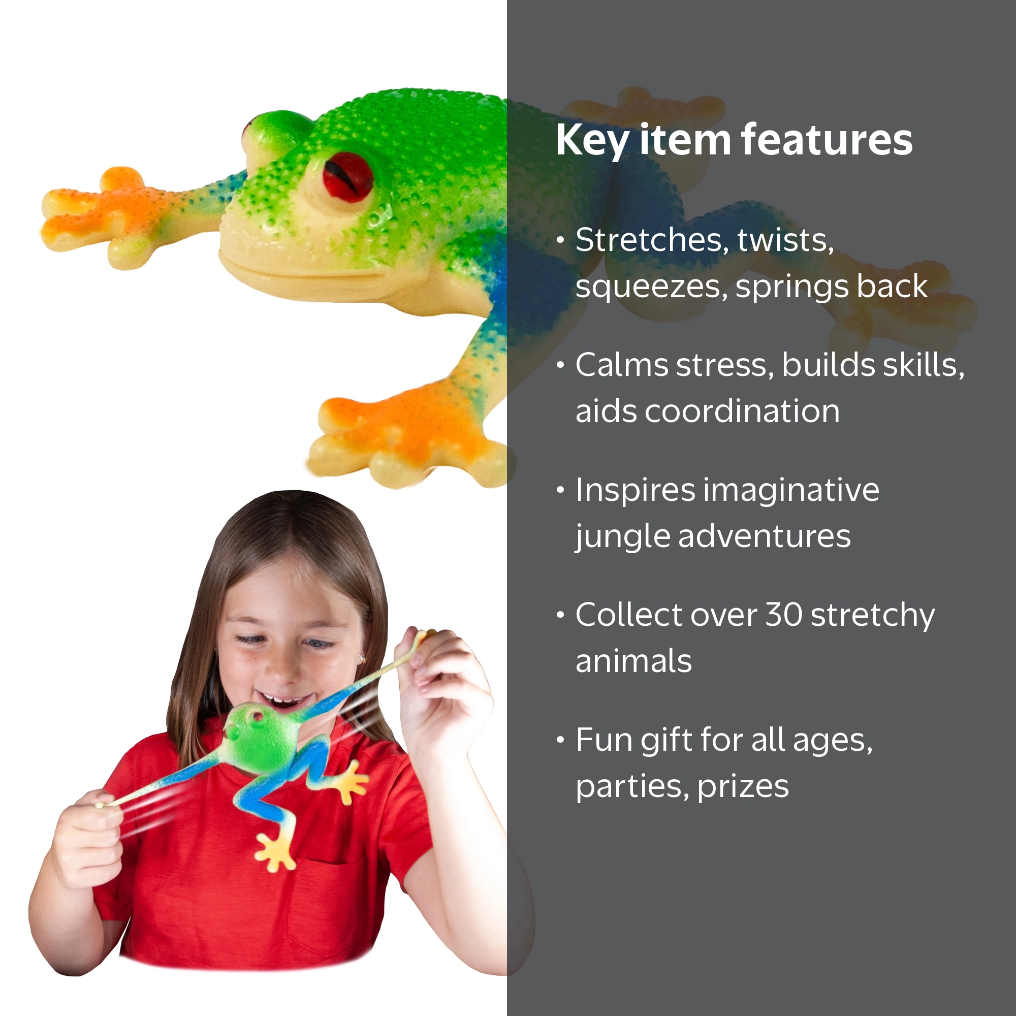 Rep Pals - Red Eyed Tree Frog by Deluxebase. Stretchy Squishy