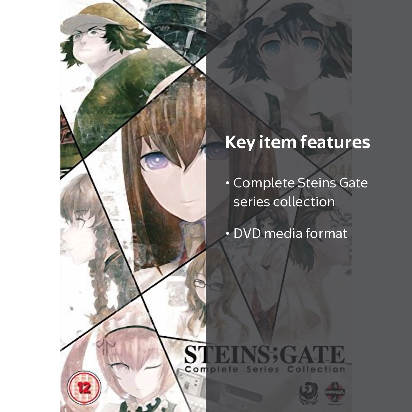 Steins Gate Complete Series Collection [DVD] - Walmart.com
