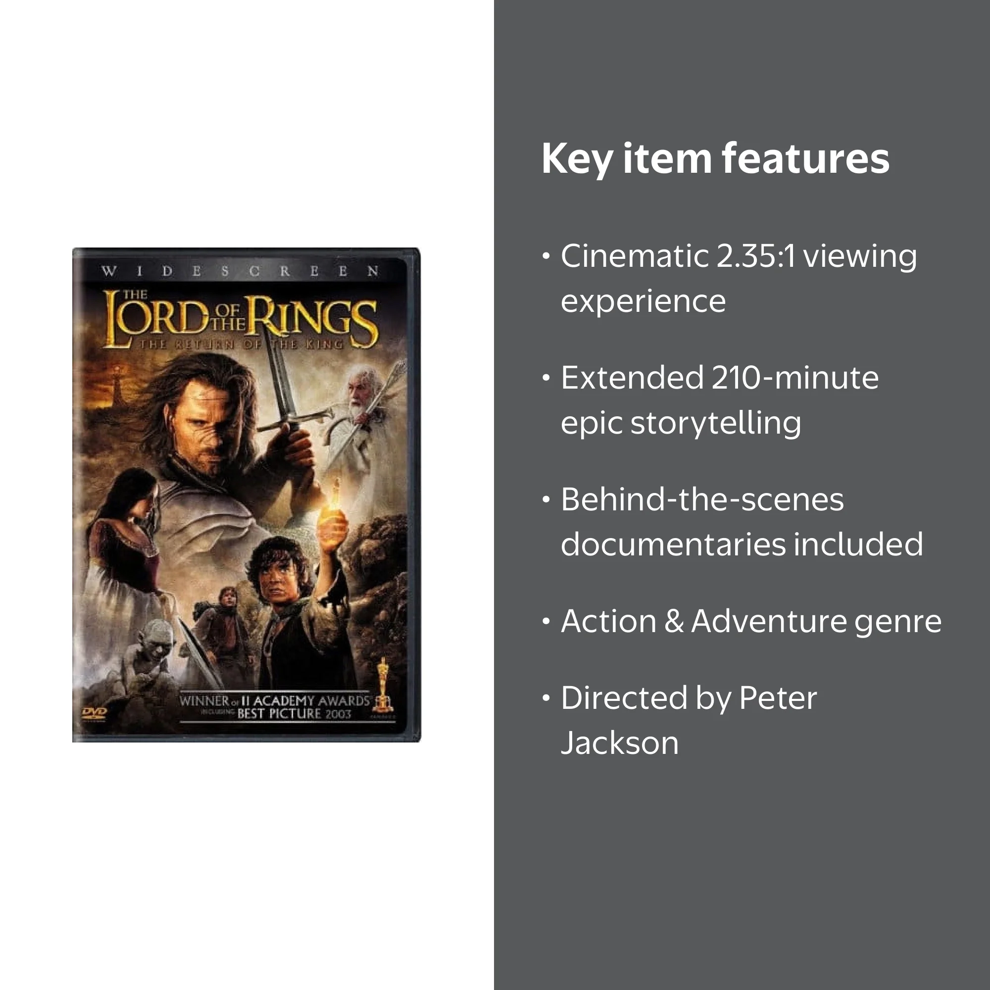 Lord of the Rings: The Return of the King (WS) (DVD Widescreen