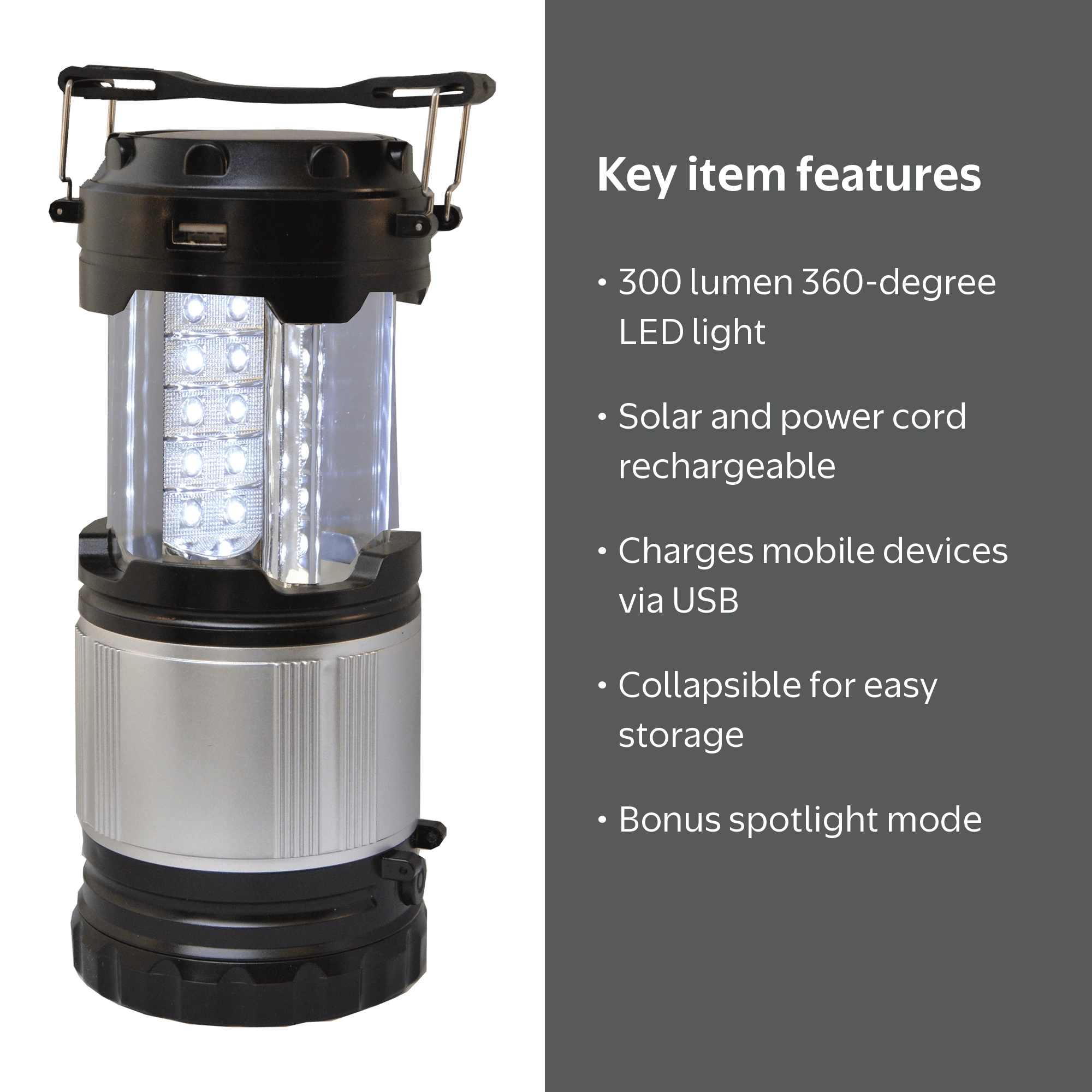 GoGreen Power 30 LED Indoor/Outdoor Solar Rechargeable 300 Lumen