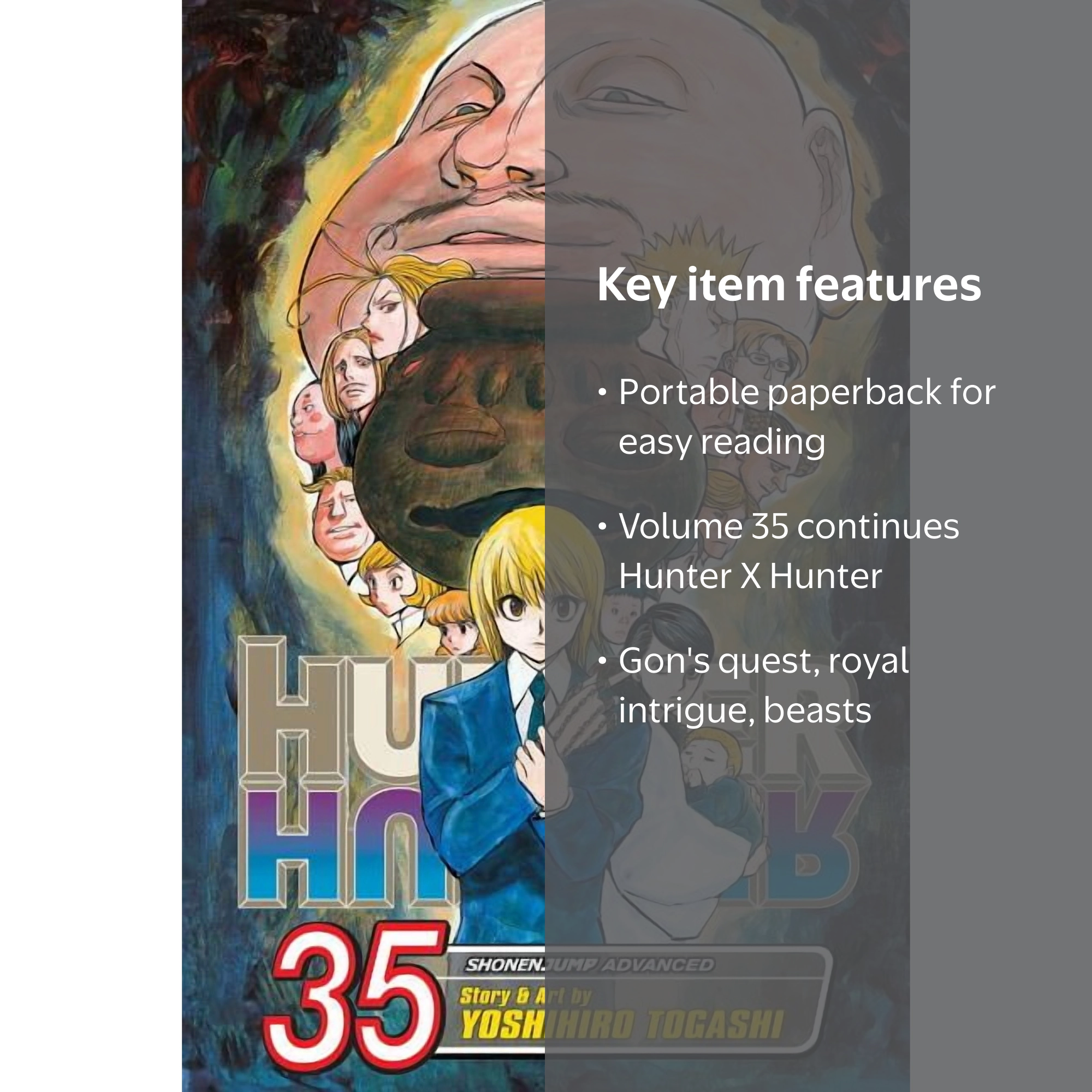 Hunter X Hunter: Hunter x Hunter, Vol. 35 (Series #35) (Paperback