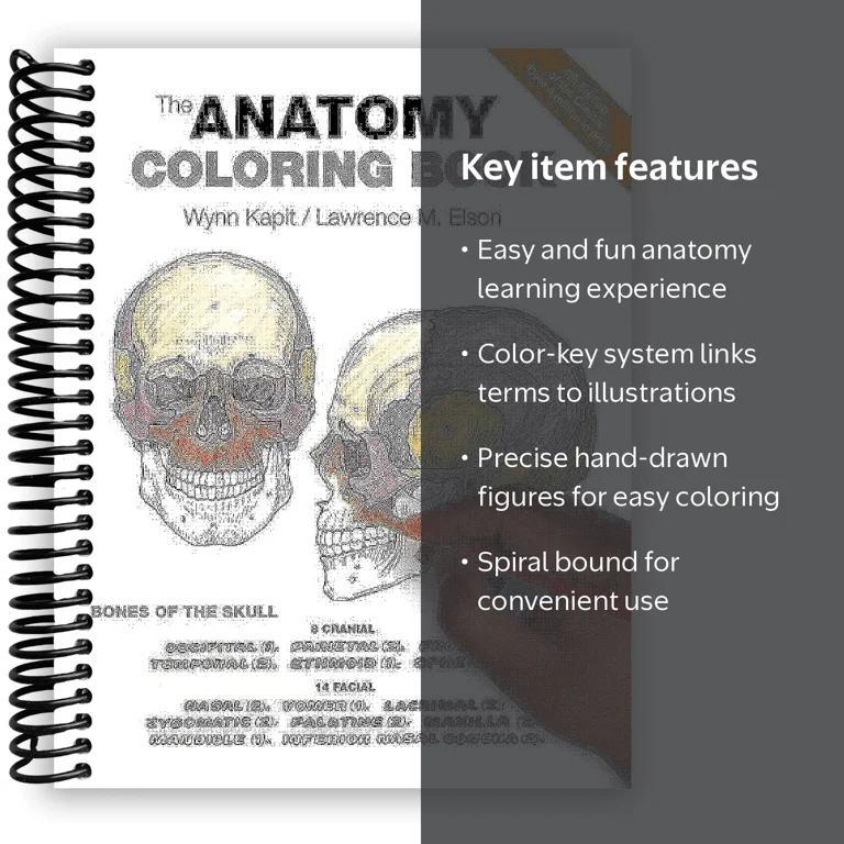 The Anatomy Coloring Book(Spiral Bound) - Walmart.com