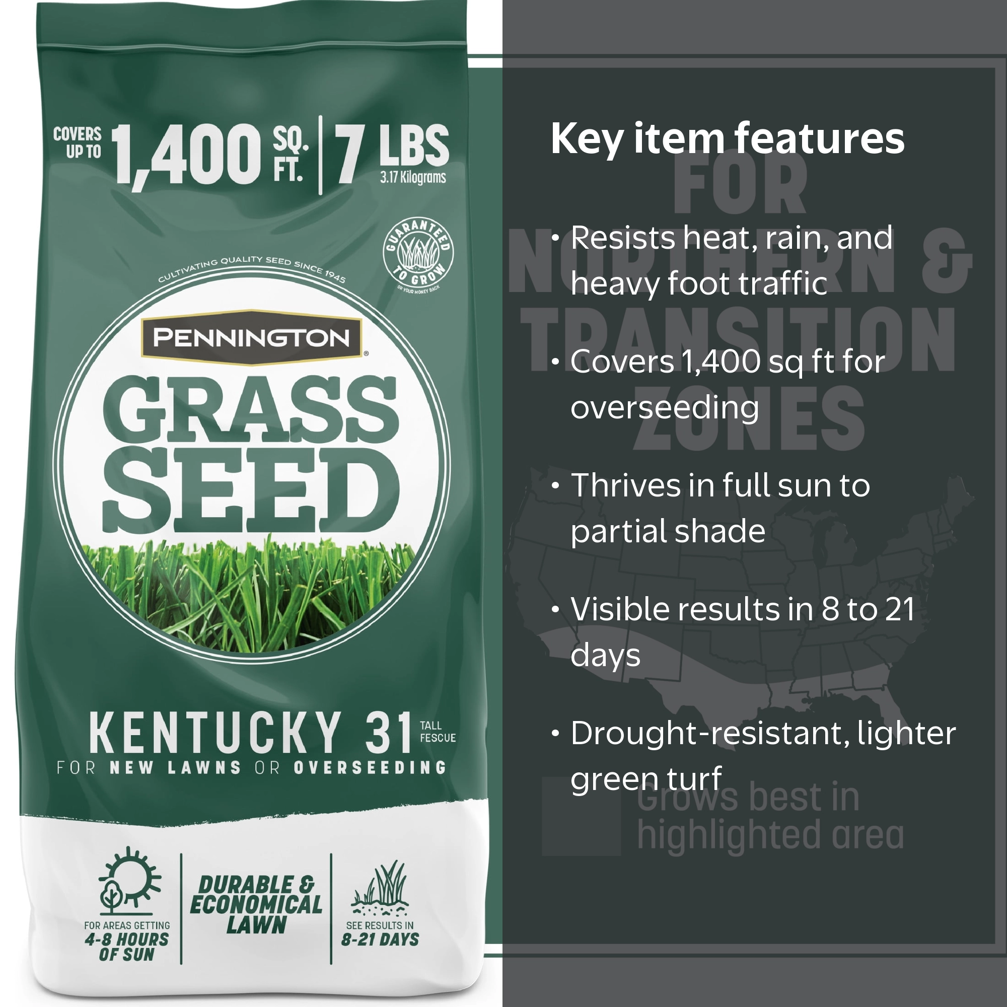 Pennington Kentucky 31 Tall Fescue Grass Seeds for Lawn, for Sun
