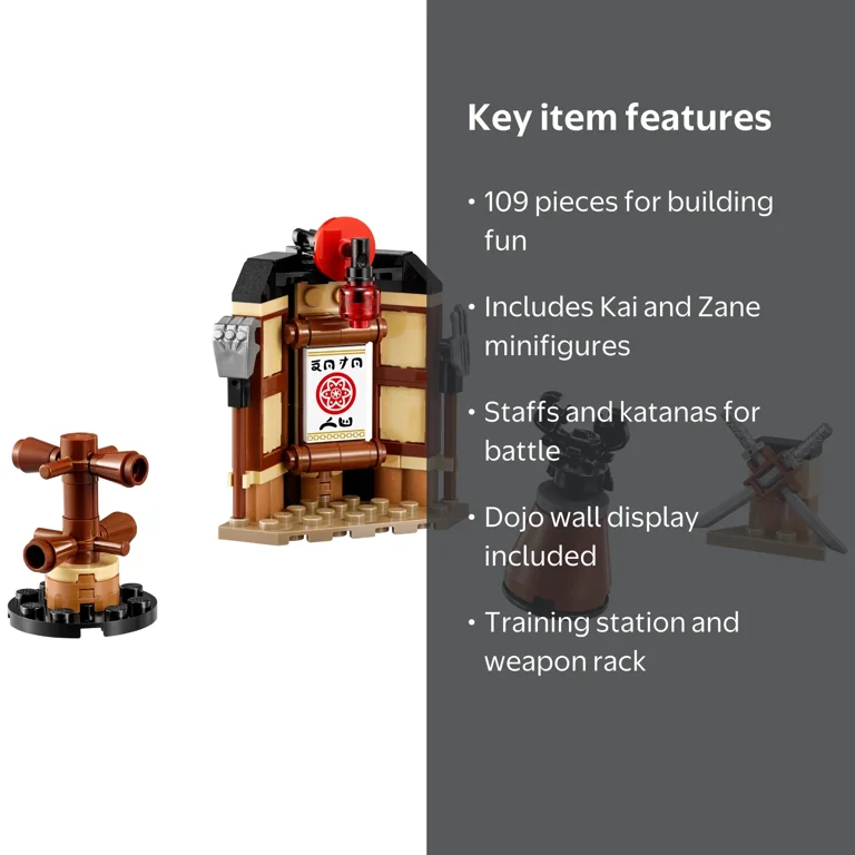 Basic DVD & Step Up DVD セット LEGO Ninjago Movie Zane's Spinjitzu Training Set 70606 (109 Pieces