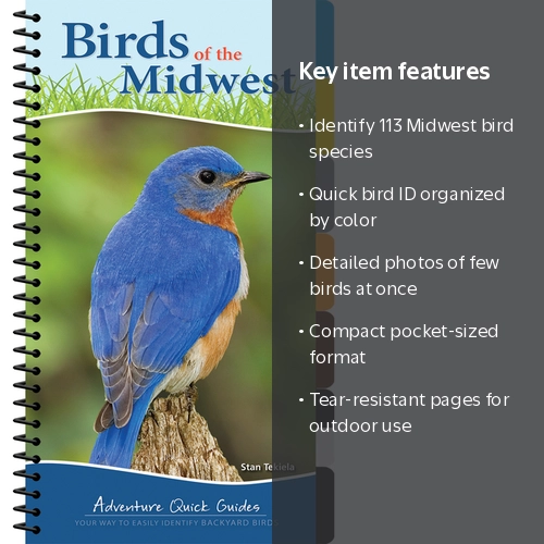 Stan Tekiela Adventure Quick Guides Birds of the Midwest, Spiral