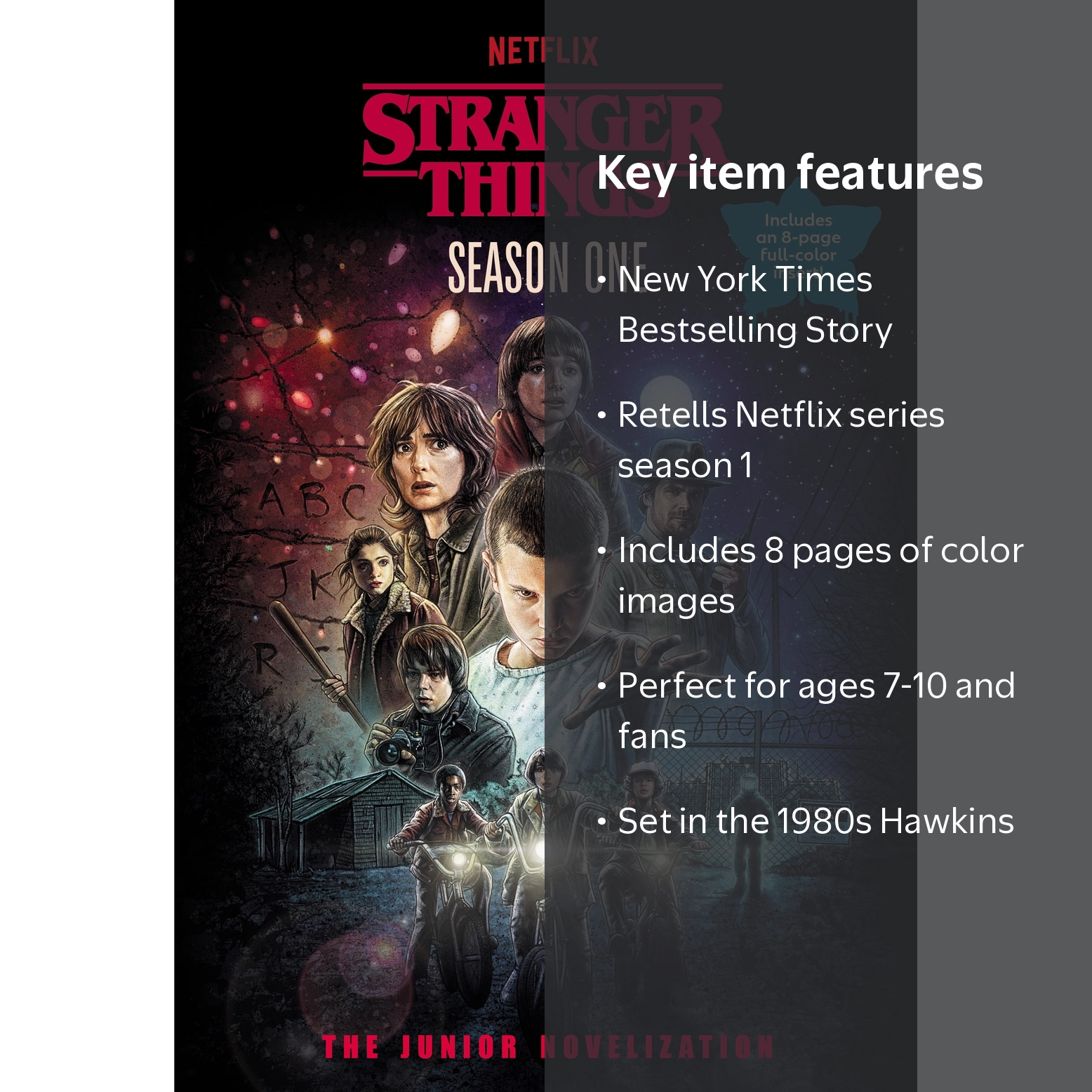 Stranger Things, Season One: the Junior Novelization (Paperback
