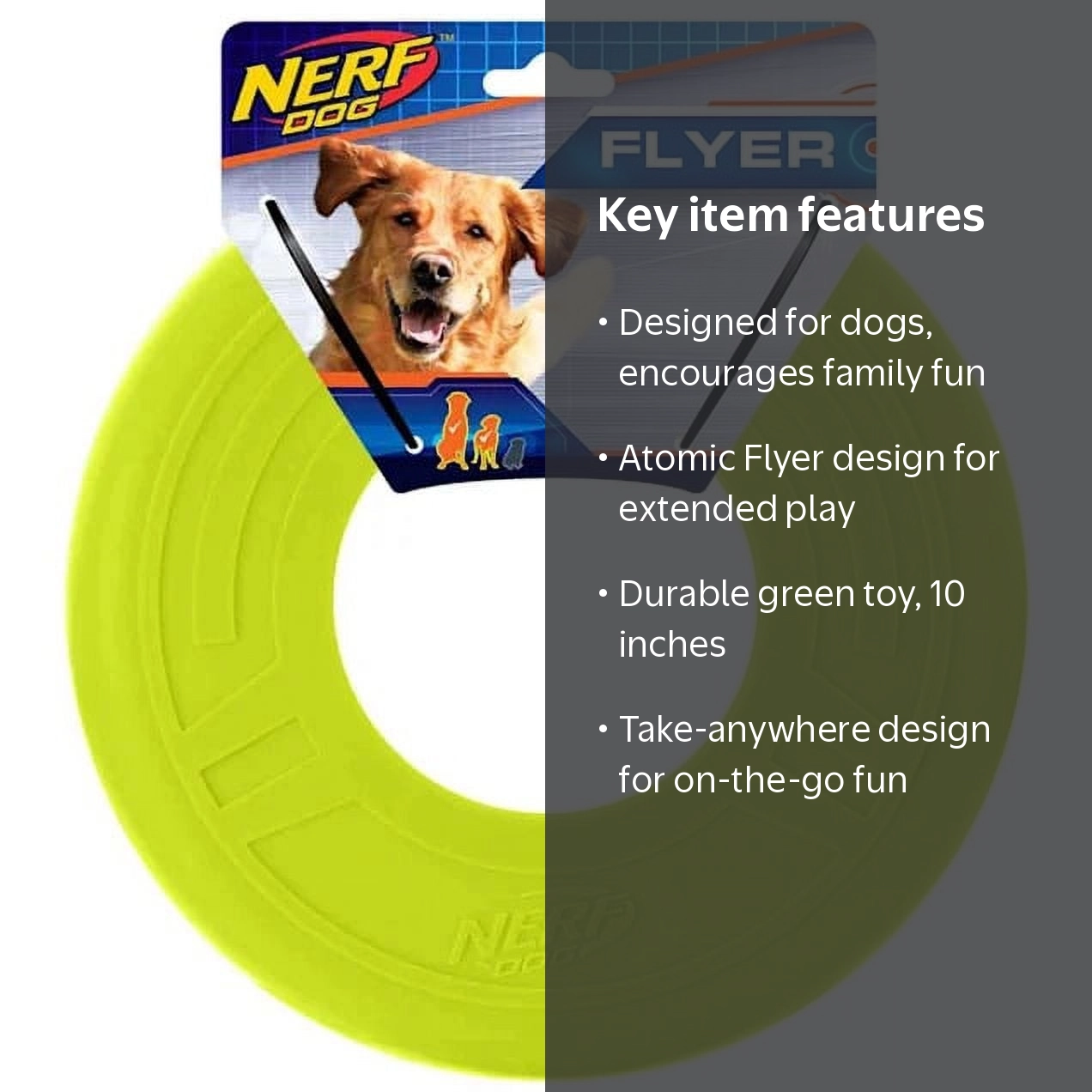 Nerf Dog, Discraft Atomic Flyer 10 Inch, Durable Flying Disc