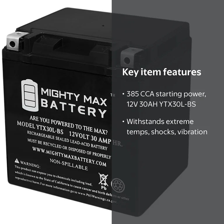 YTX30L-BS 12V 30AH Replacement Battery Compatible with Power