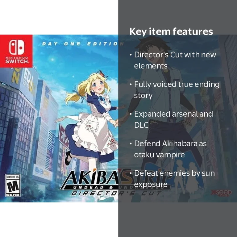 AKIBA'S TRIP: Undead & Undressed Director's Cut for Nintendo