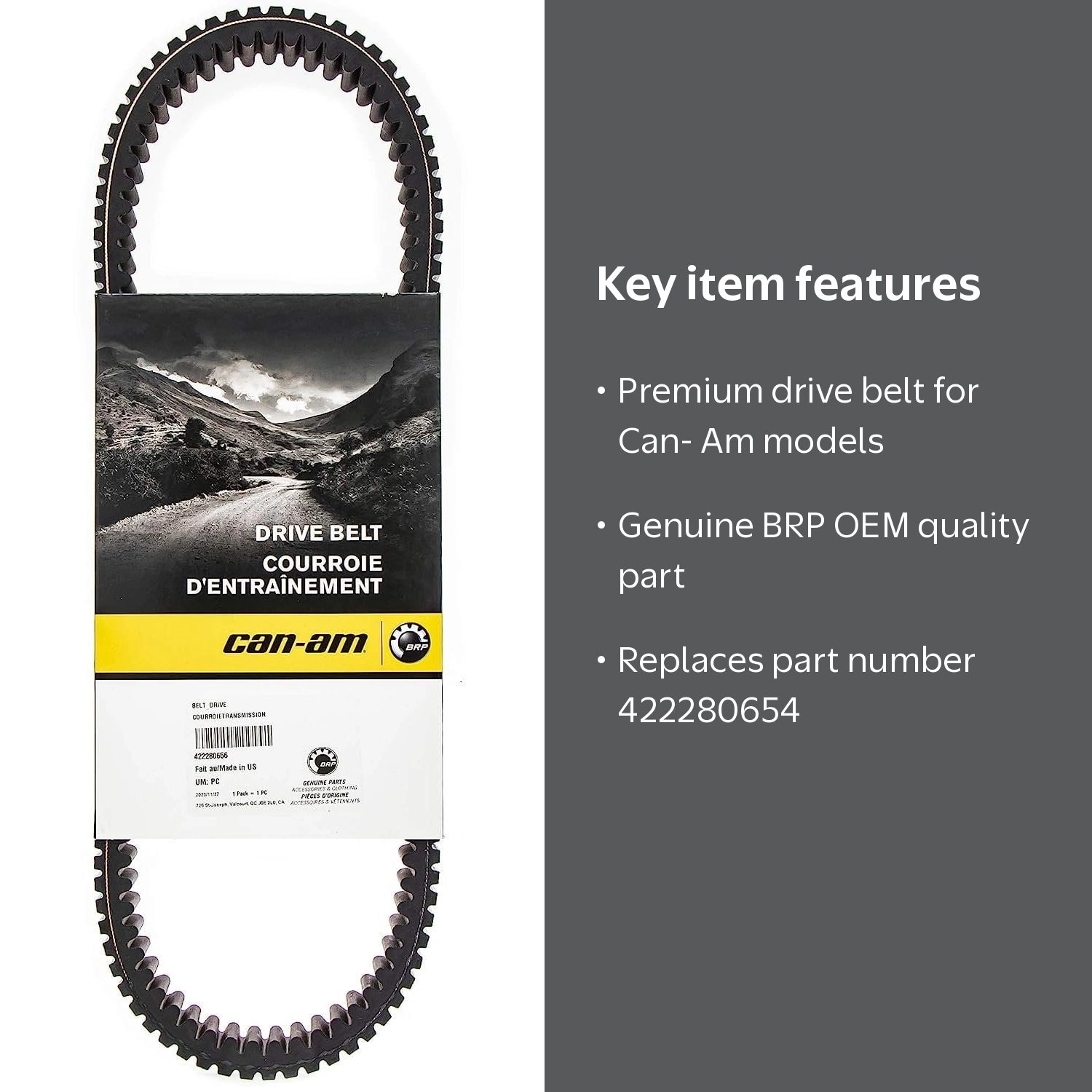 Can-Am, Premium High-Performance Drive Belt, 422280656 - Walmart.com