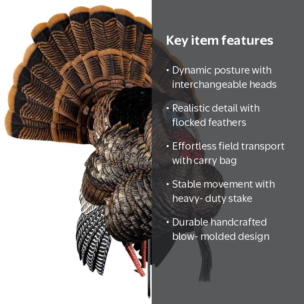 Avian-X, HDR Strutter Adjustable Tail Fan Realistic Turkey Decoy