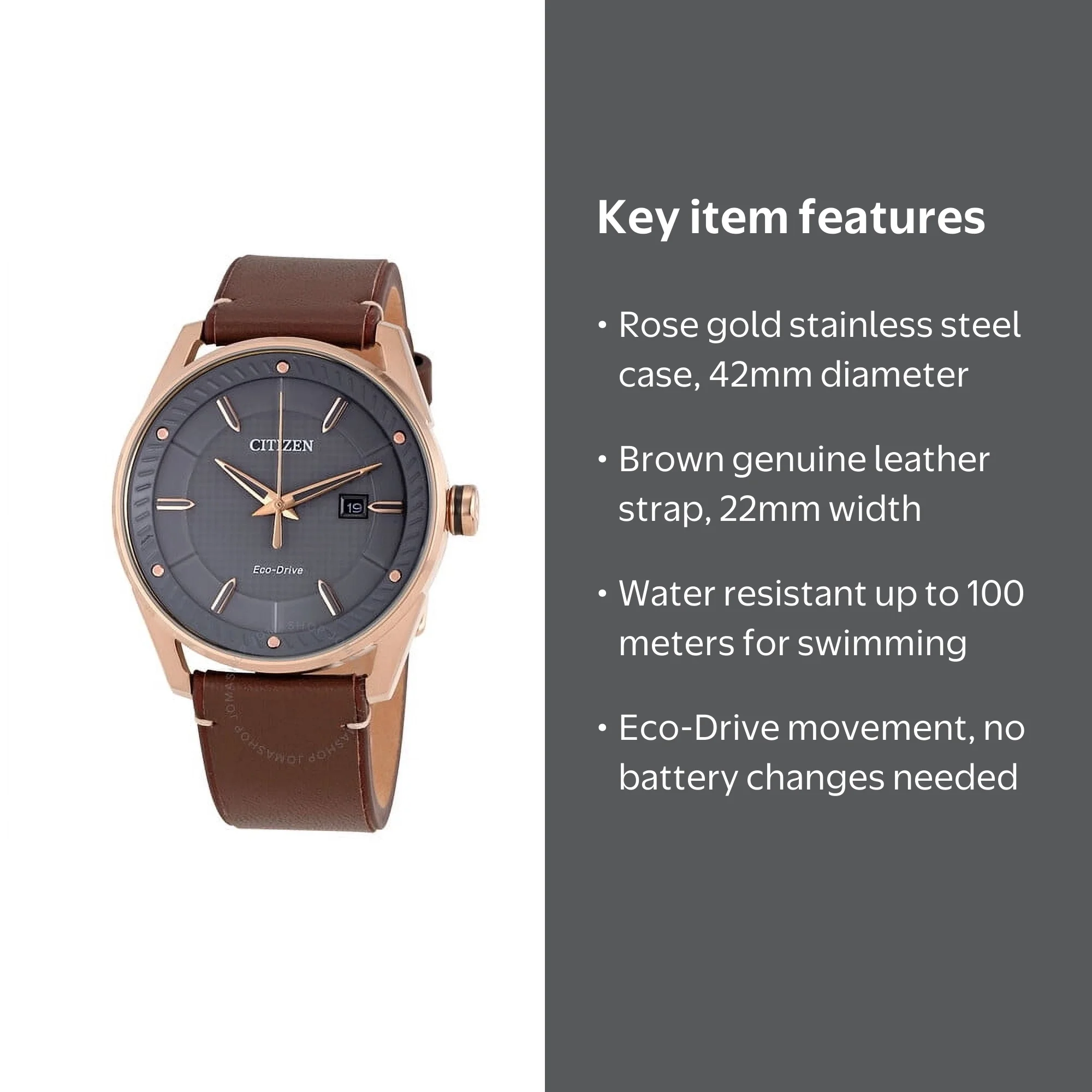 Citizen Eco-Drive Men's Watch with Brown Leather Strap and Silver
