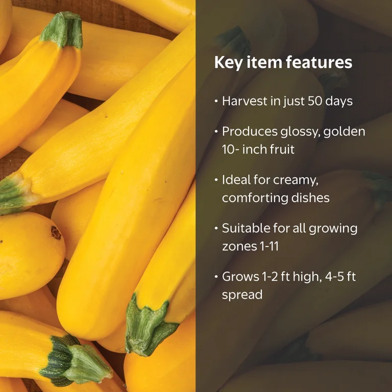 Burpee Fort Knox Hybrid Summer Squash Vegetable Seed, 1-Pack