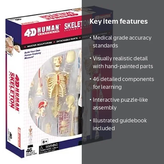 TEDCO 4D human Skeleton Anatomy Model, 46 Parts - Walmart.com