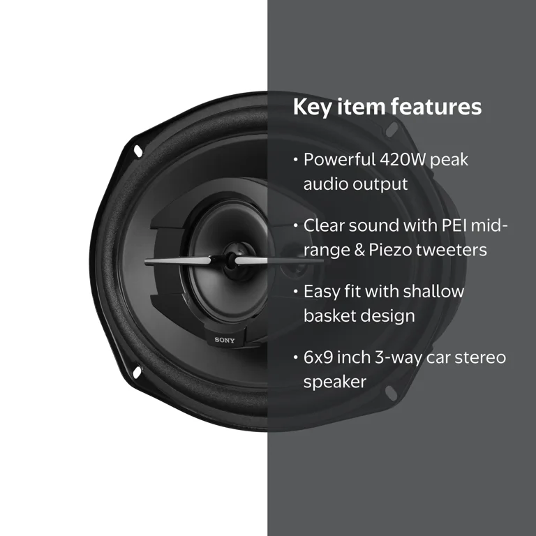 ソラ Sony XSR69 6x9